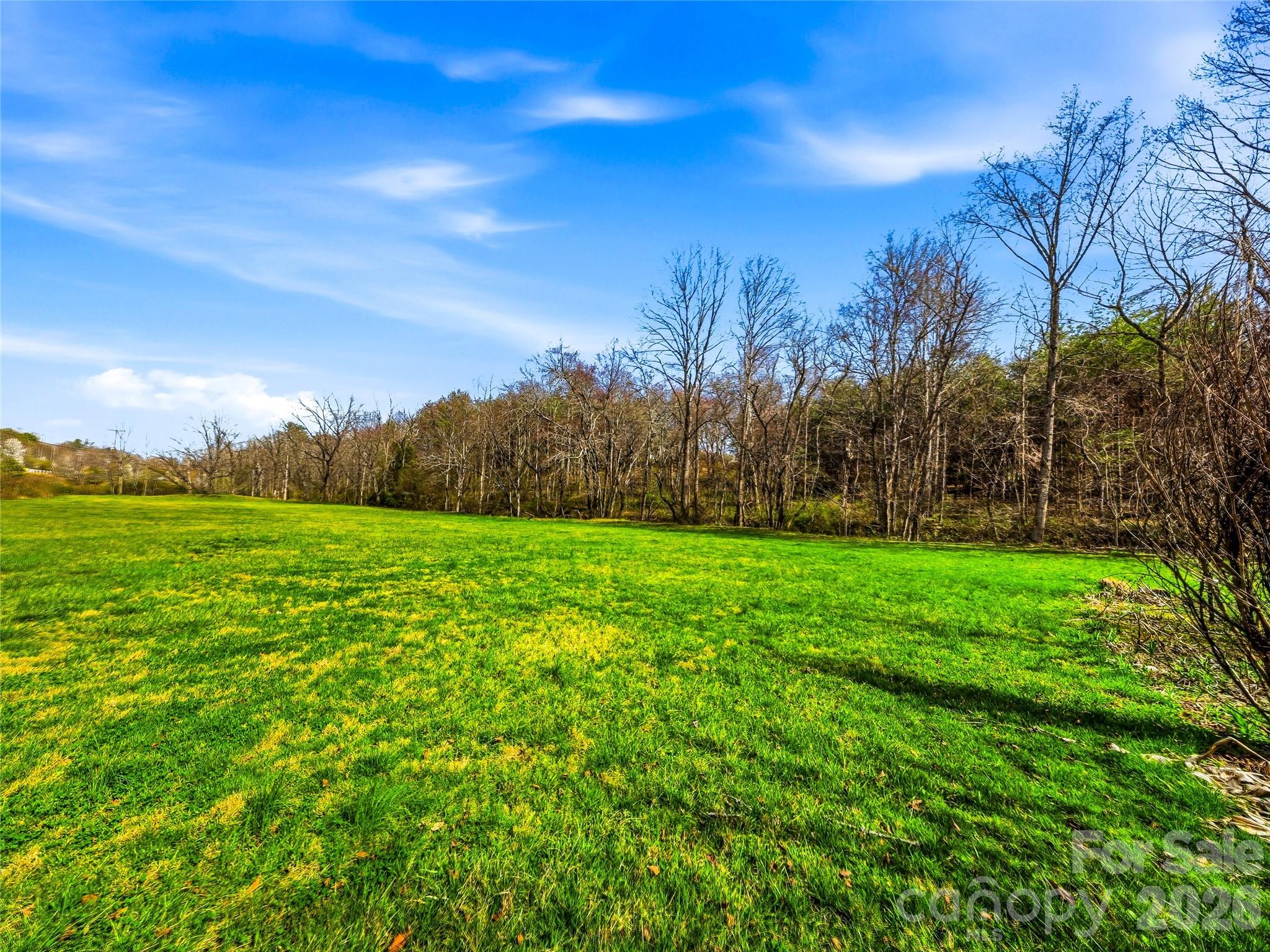 61 Rolling Hills Road — Mills River