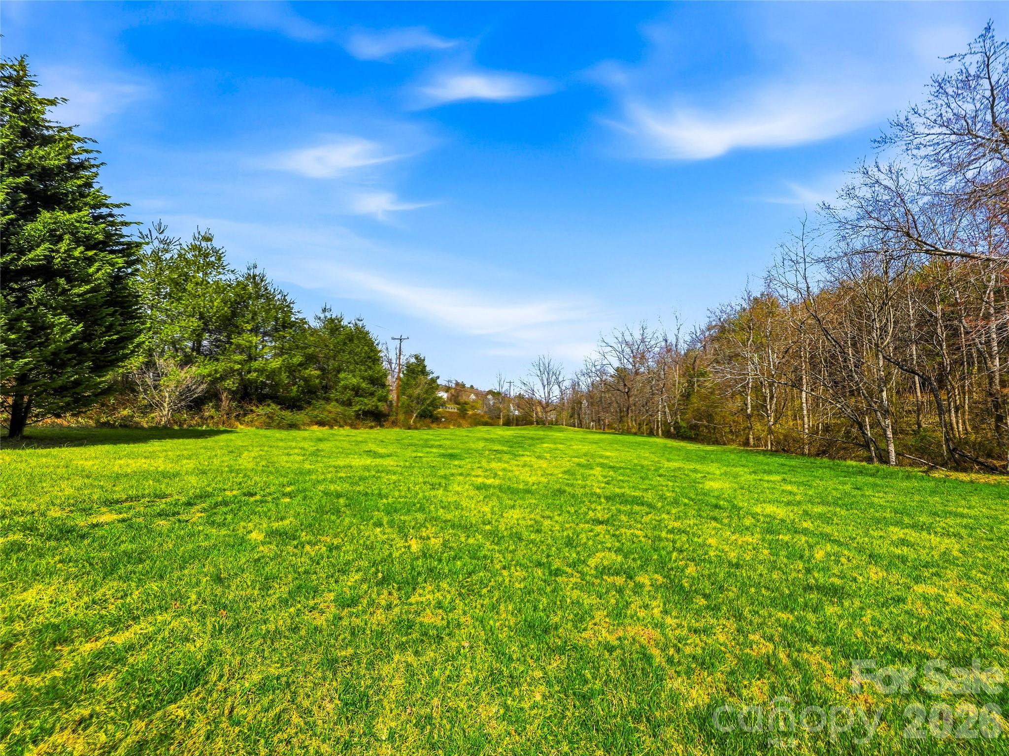 61 Rolling Hills Road — Mills River