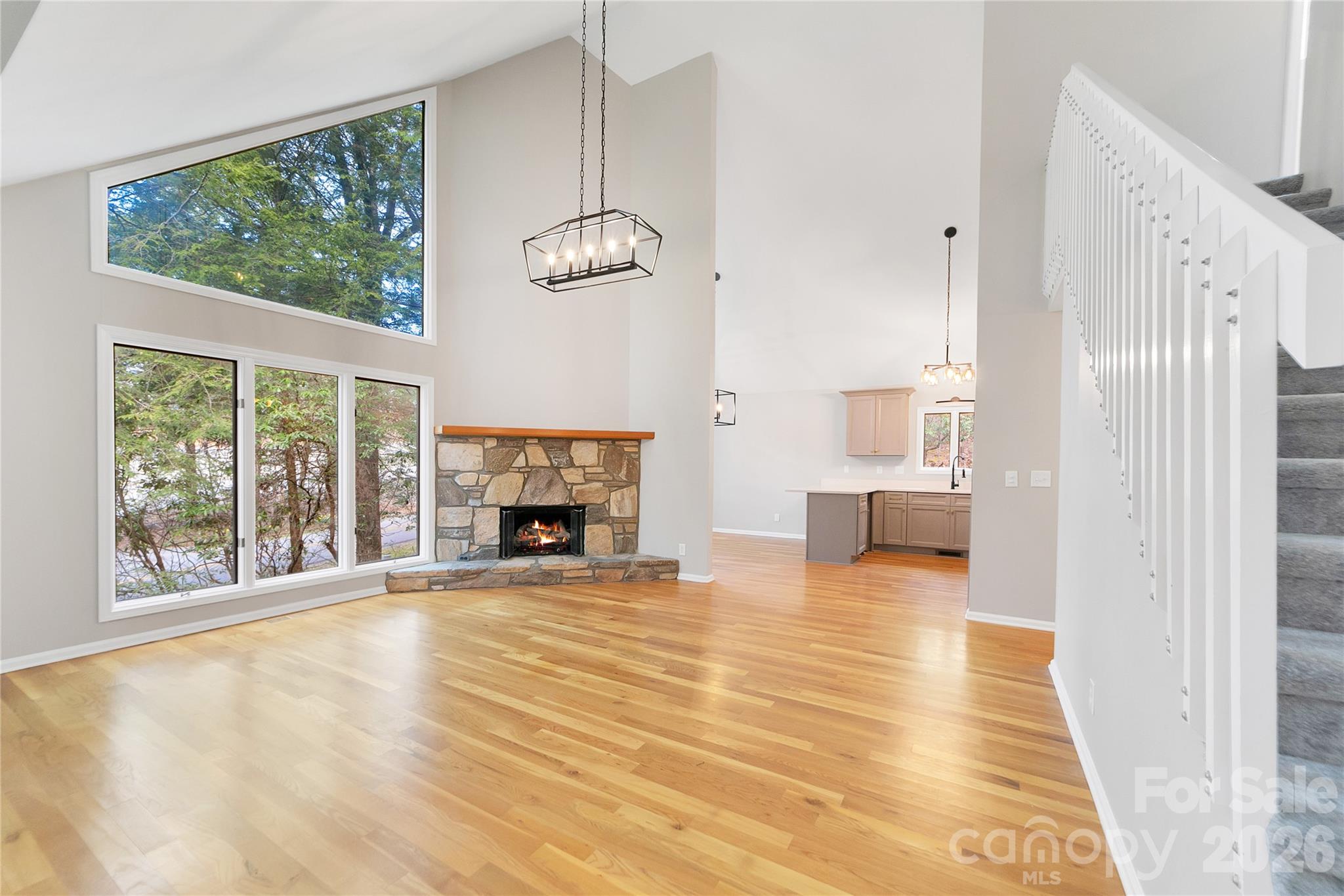 3814 Connestee Trail — Brevard