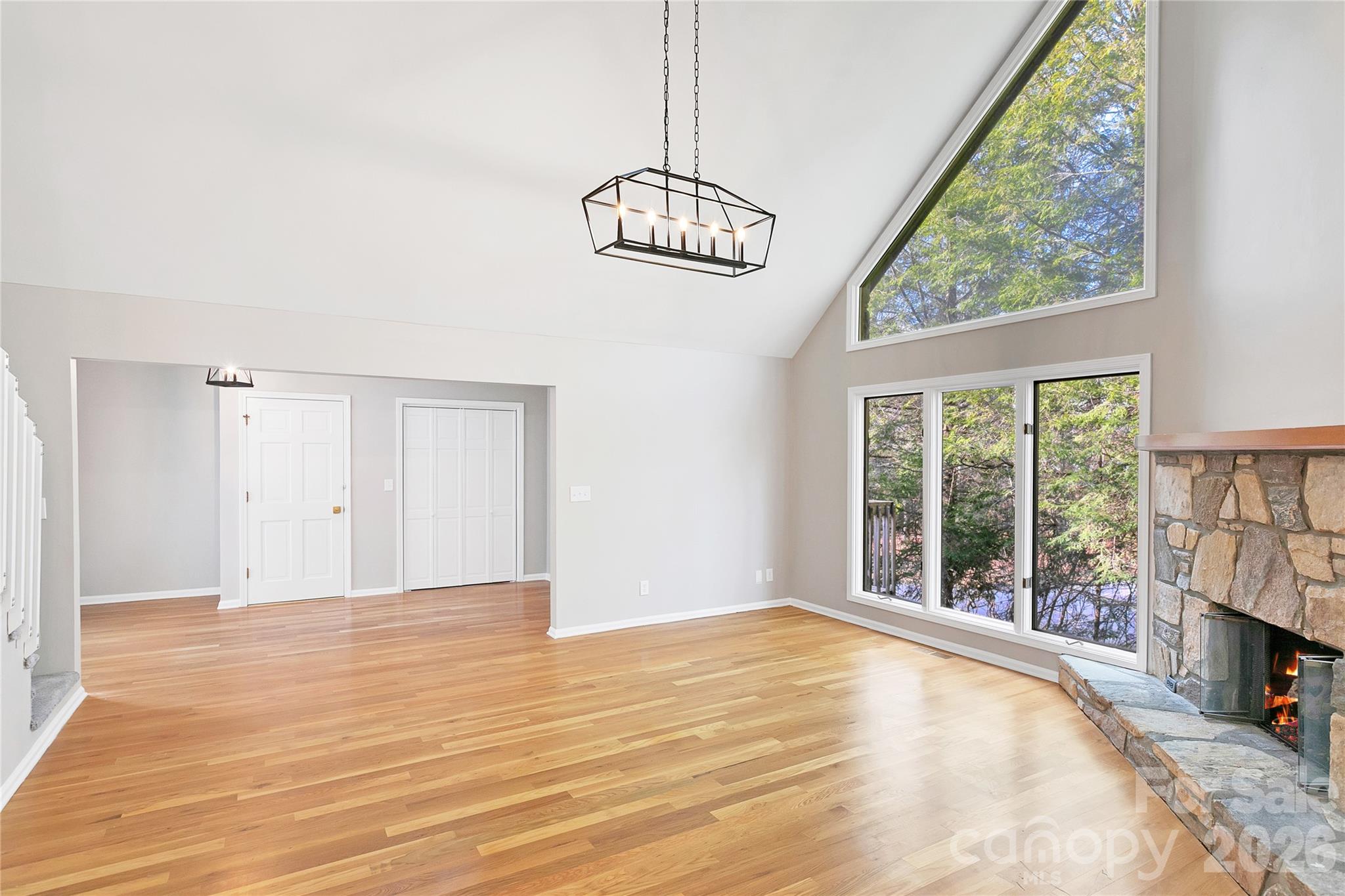 3814 Connestee Trail — Brevard