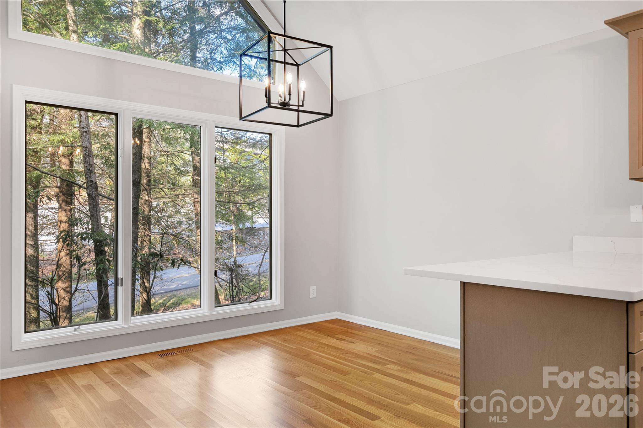 3814 Connestee Trail — Brevard