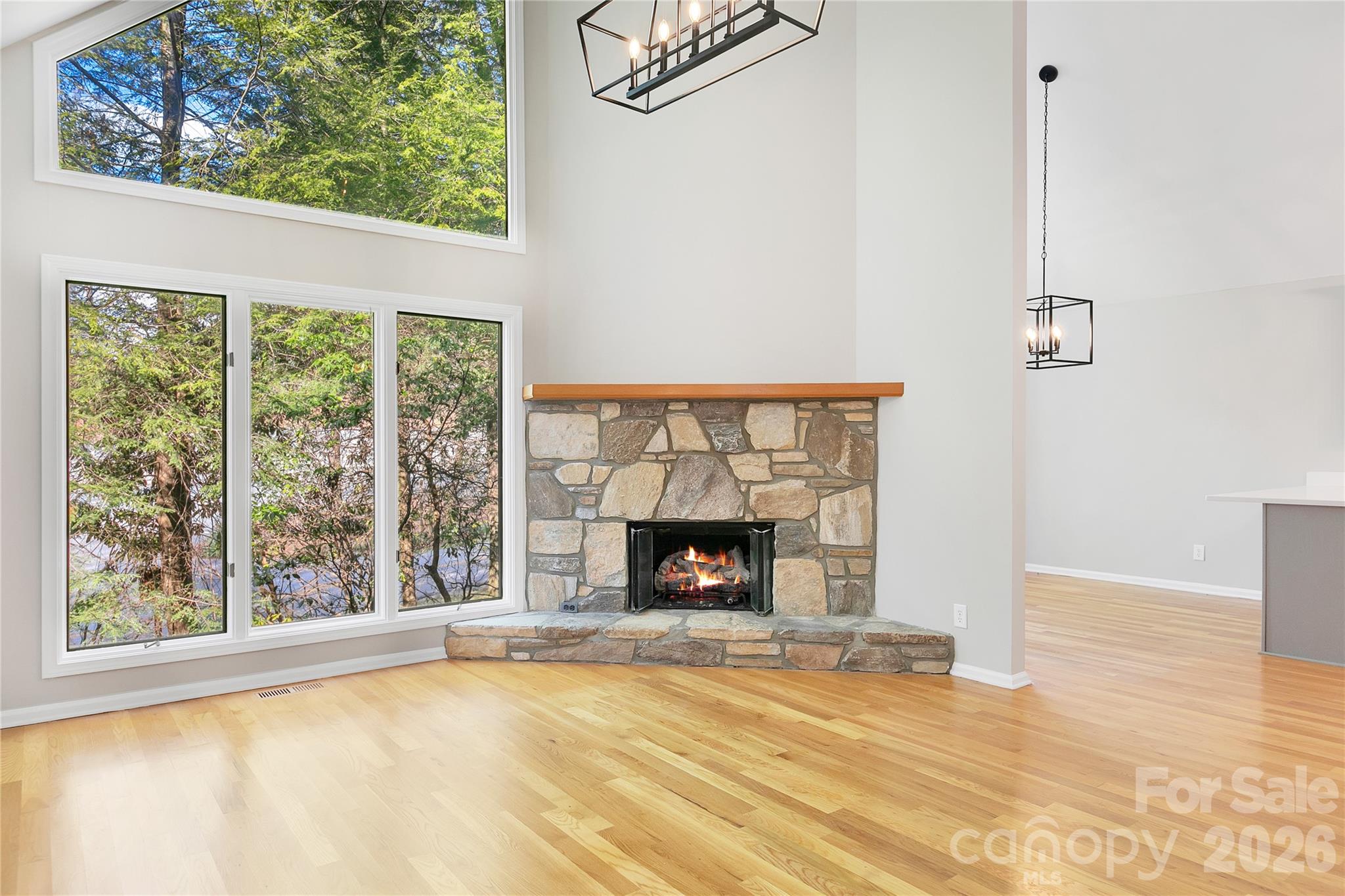 3814 Connestee Trail — Brevard