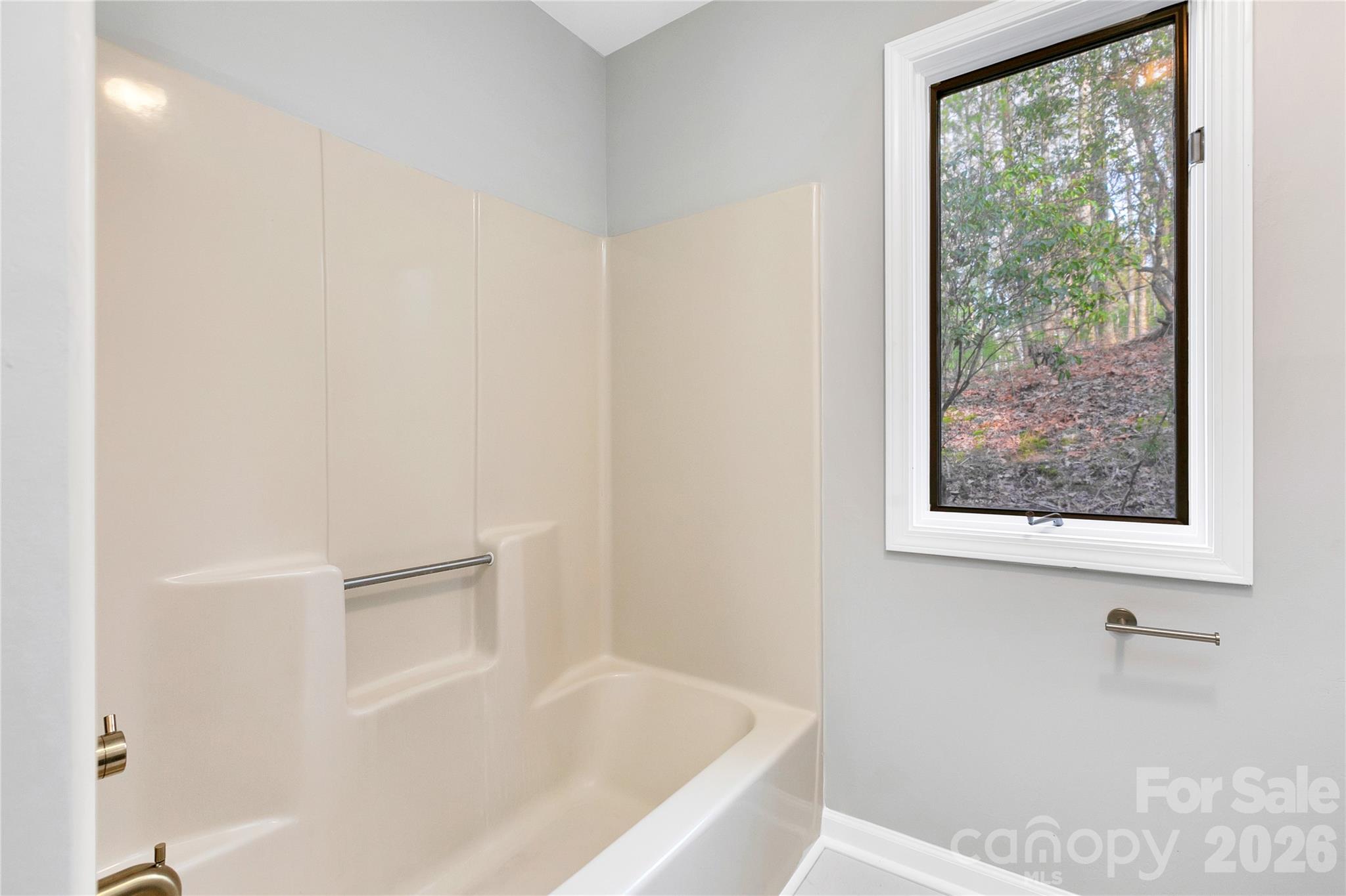 3814 Connestee Trail — Brevard