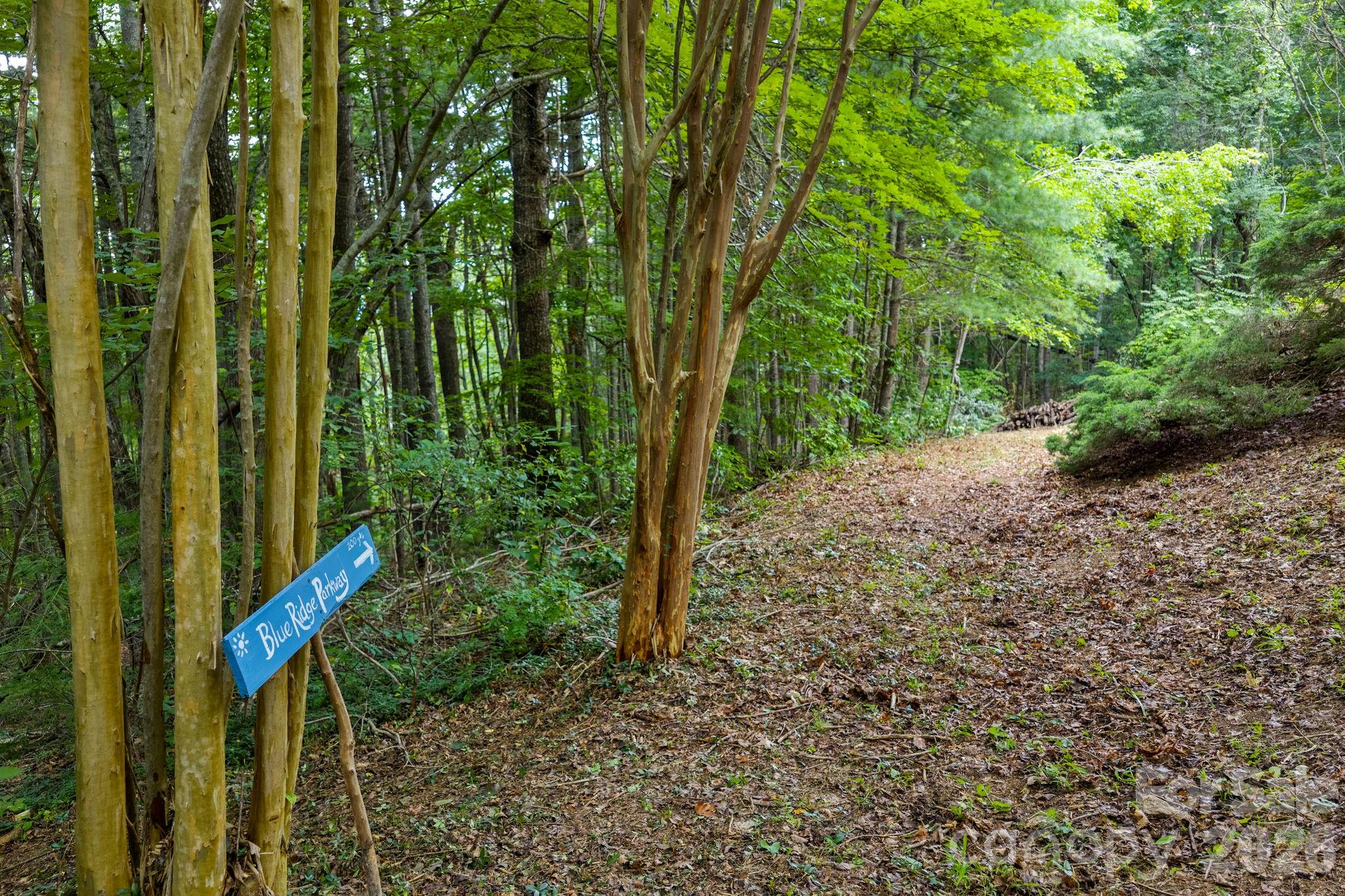 150 Avondale Ridge Road — Asheville