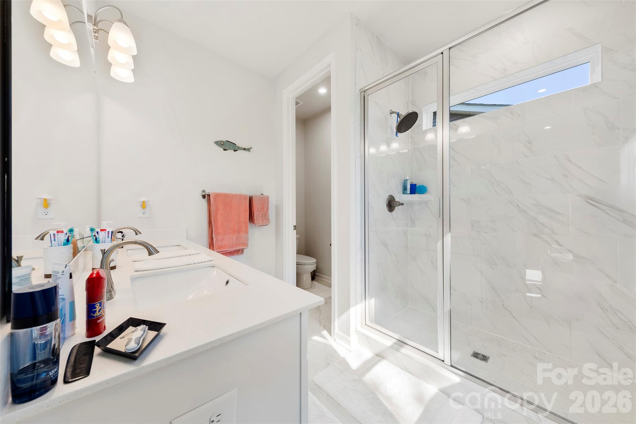 5320 Somerset Hill Lane — Charlotte