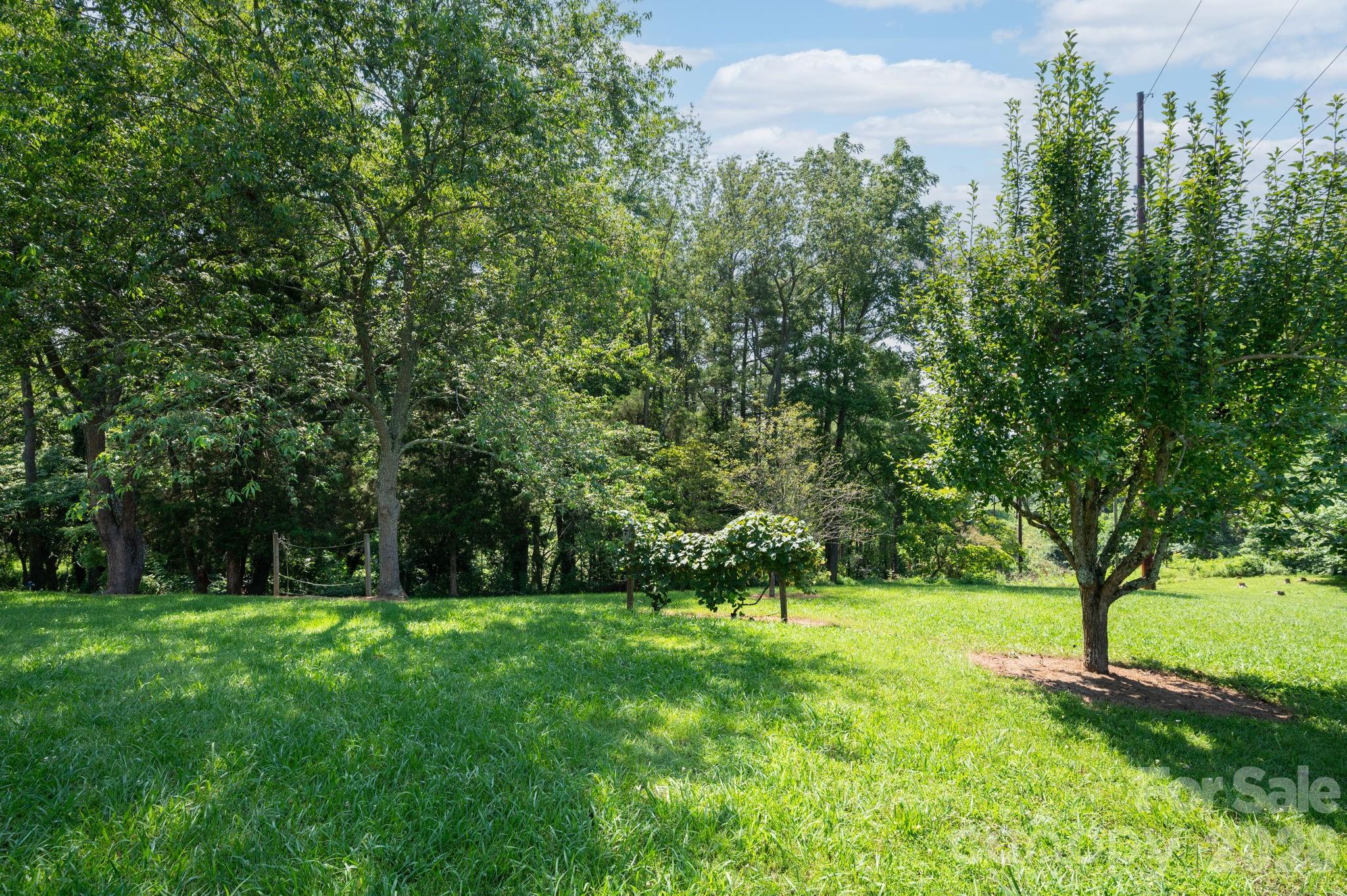 90 Jonestown Road — Asheville