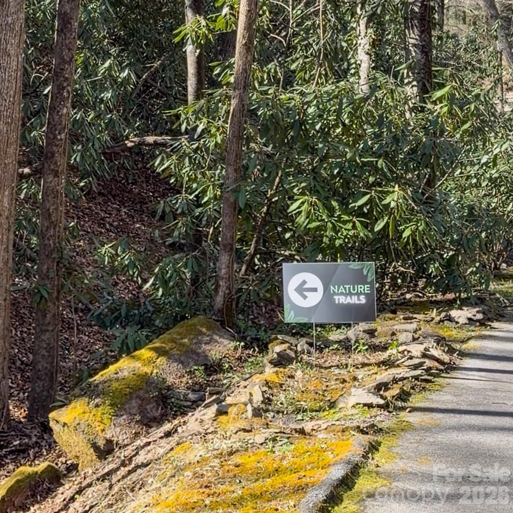 1270 Glen Cannon Drive — Pisgah Forest