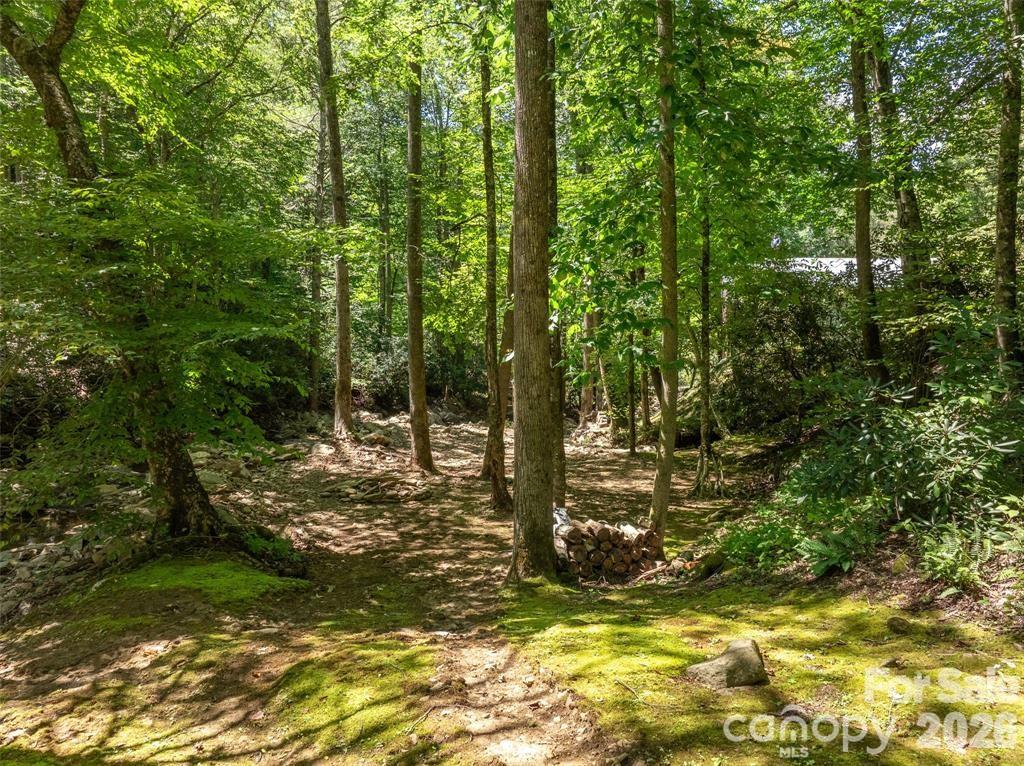 347 Blackberry Inn Road — Weaverville