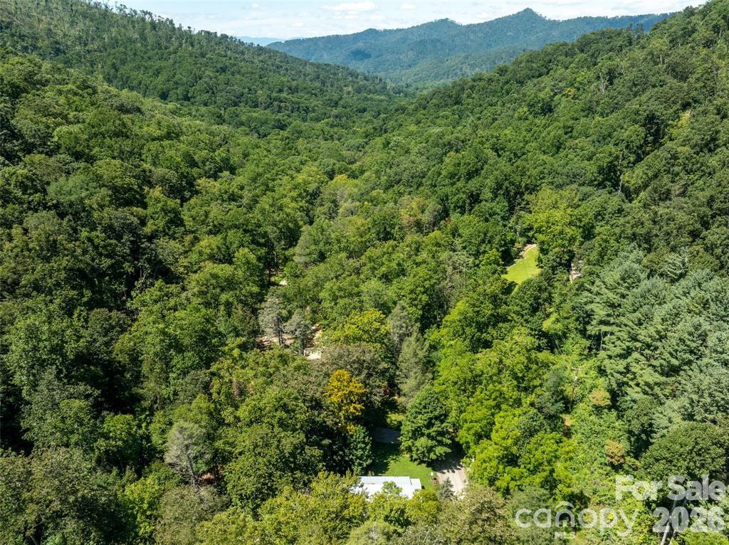 347 Blackberry Inn Road — Weaverville