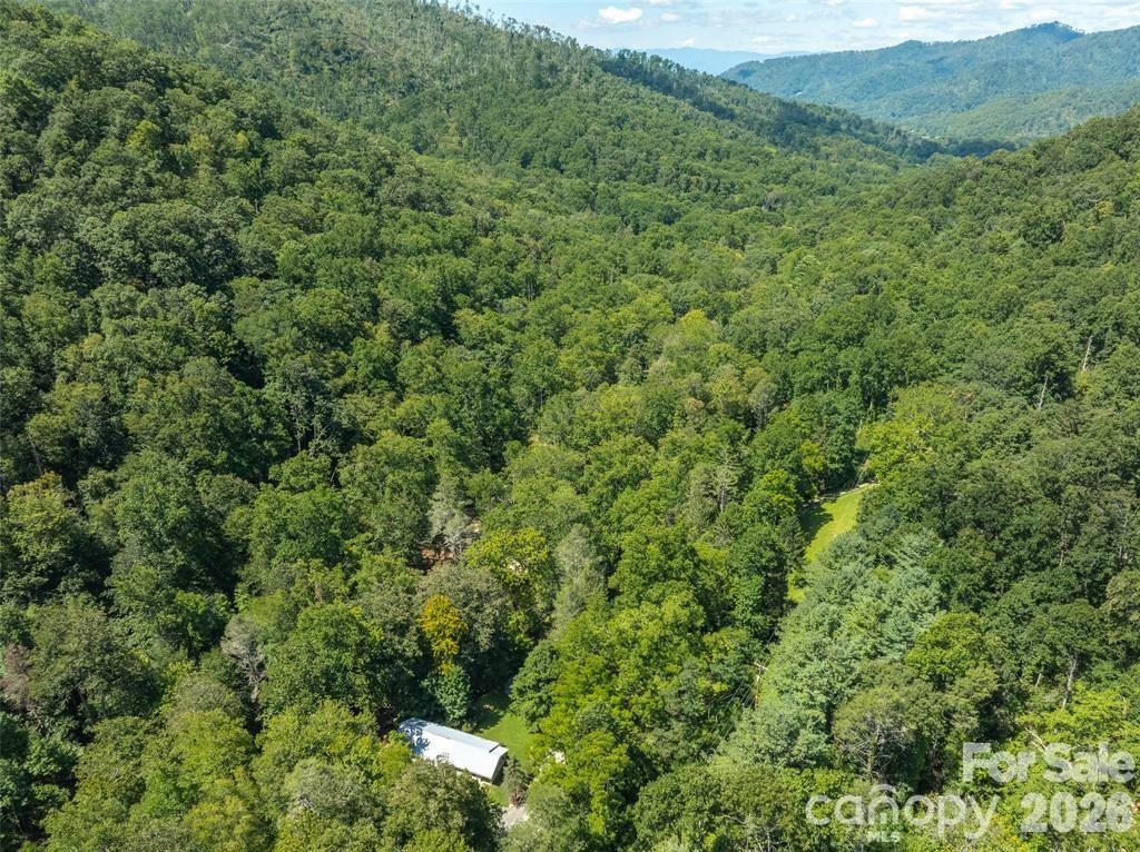 347 Blackberry Inn Road — Weaverville