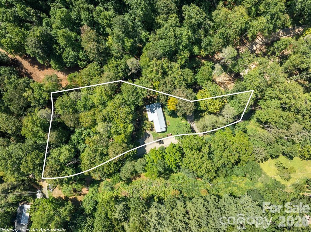 347 Blackberry Inn Road — Weaverville