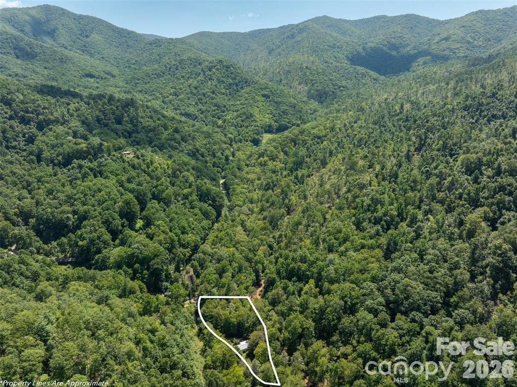 347 Blackberry Inn Road — Weaverville