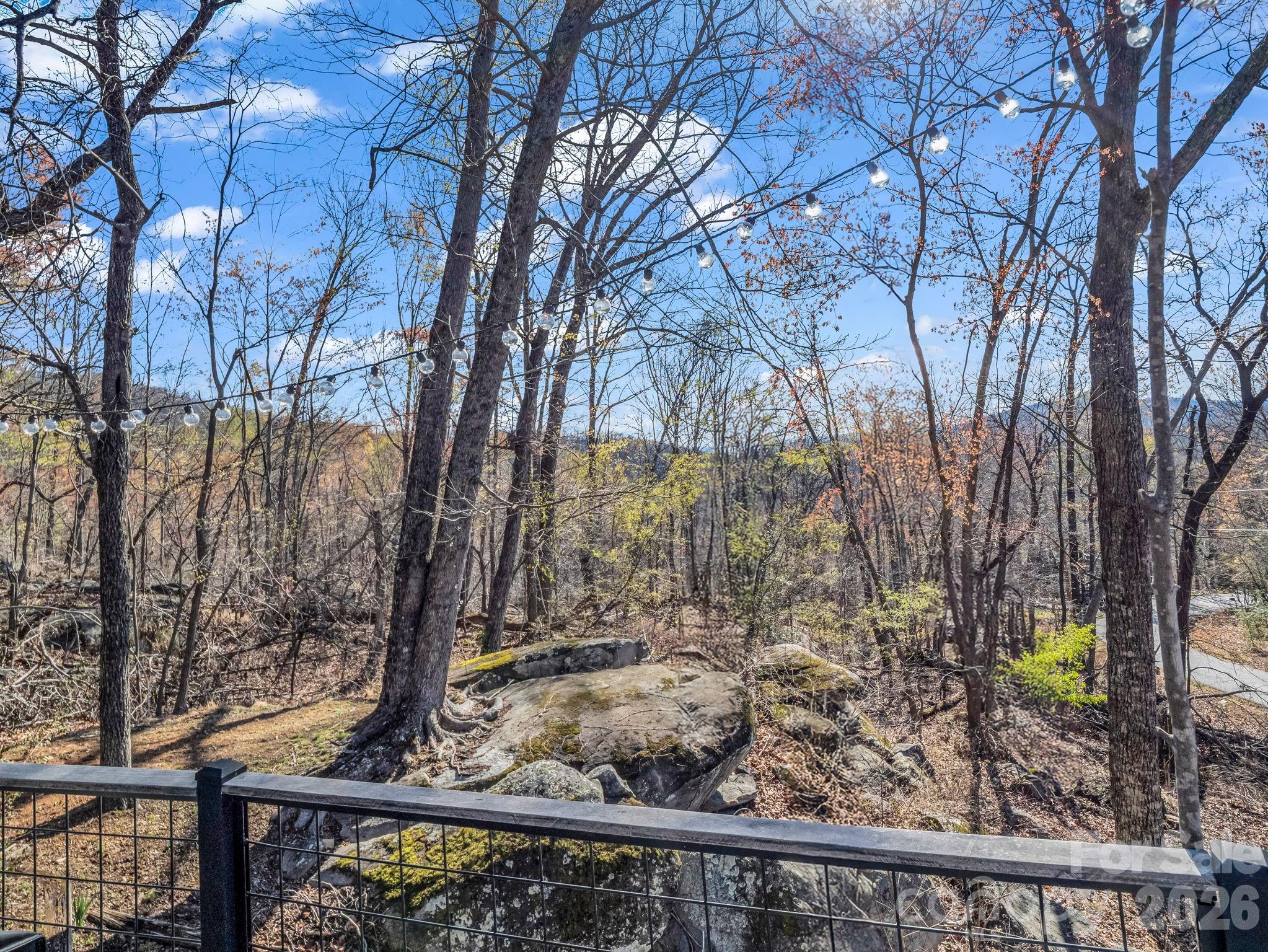 456 Youngs Mountain Drive — Lake Lure