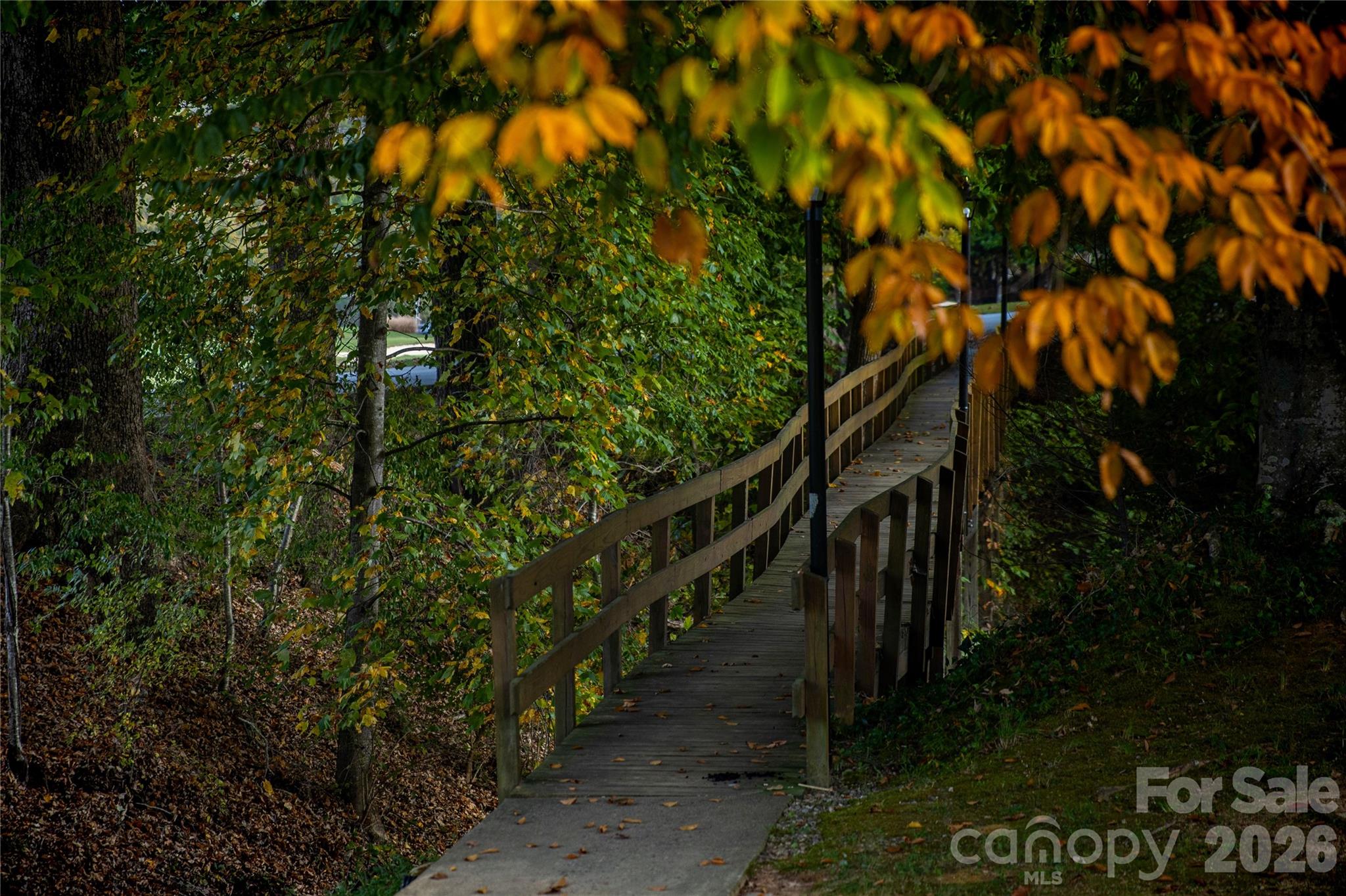 456 Youngs Mountain Drive — Lake Lure