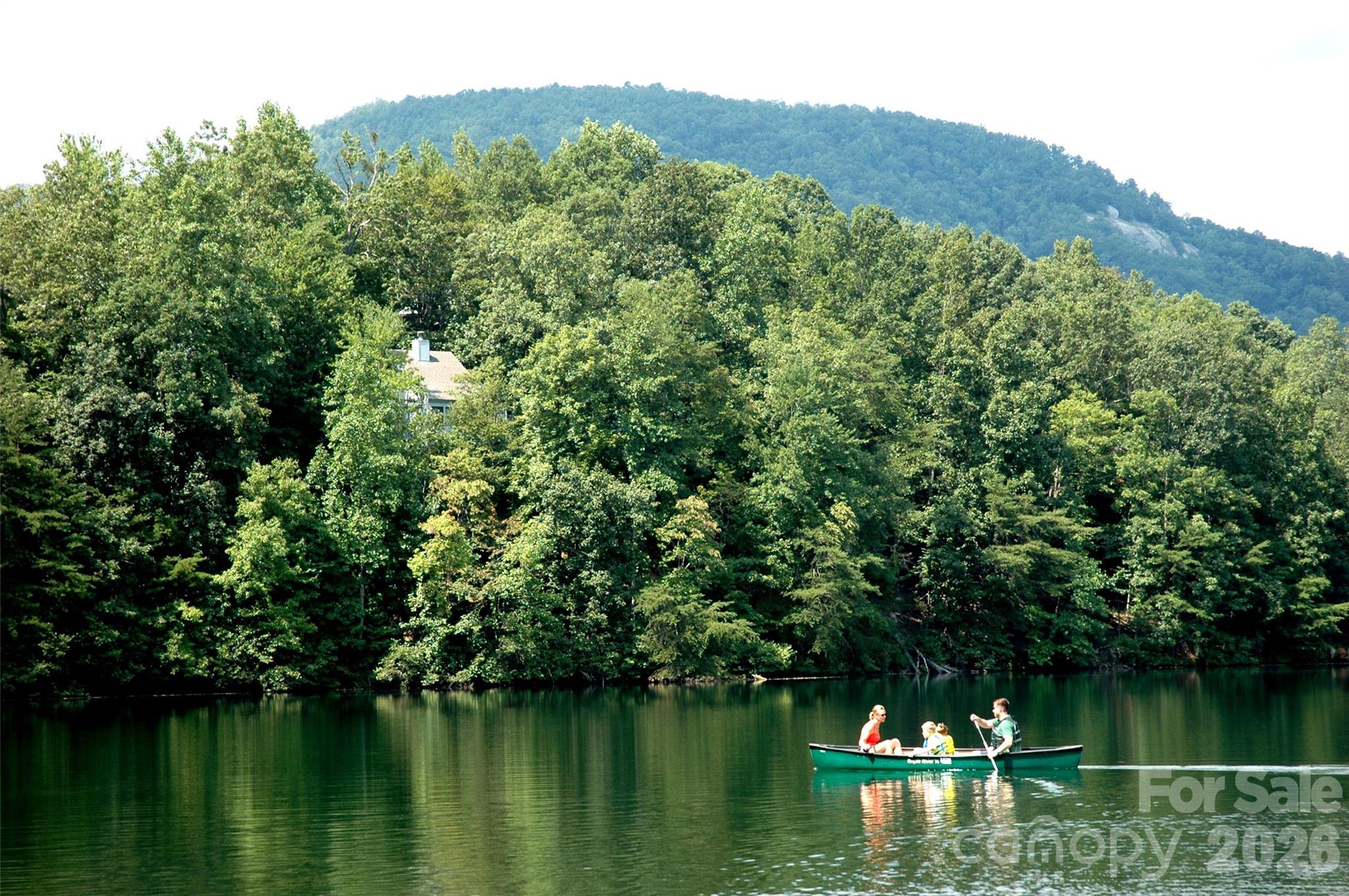 456 Youngs Mountain Drive — Lake Lure