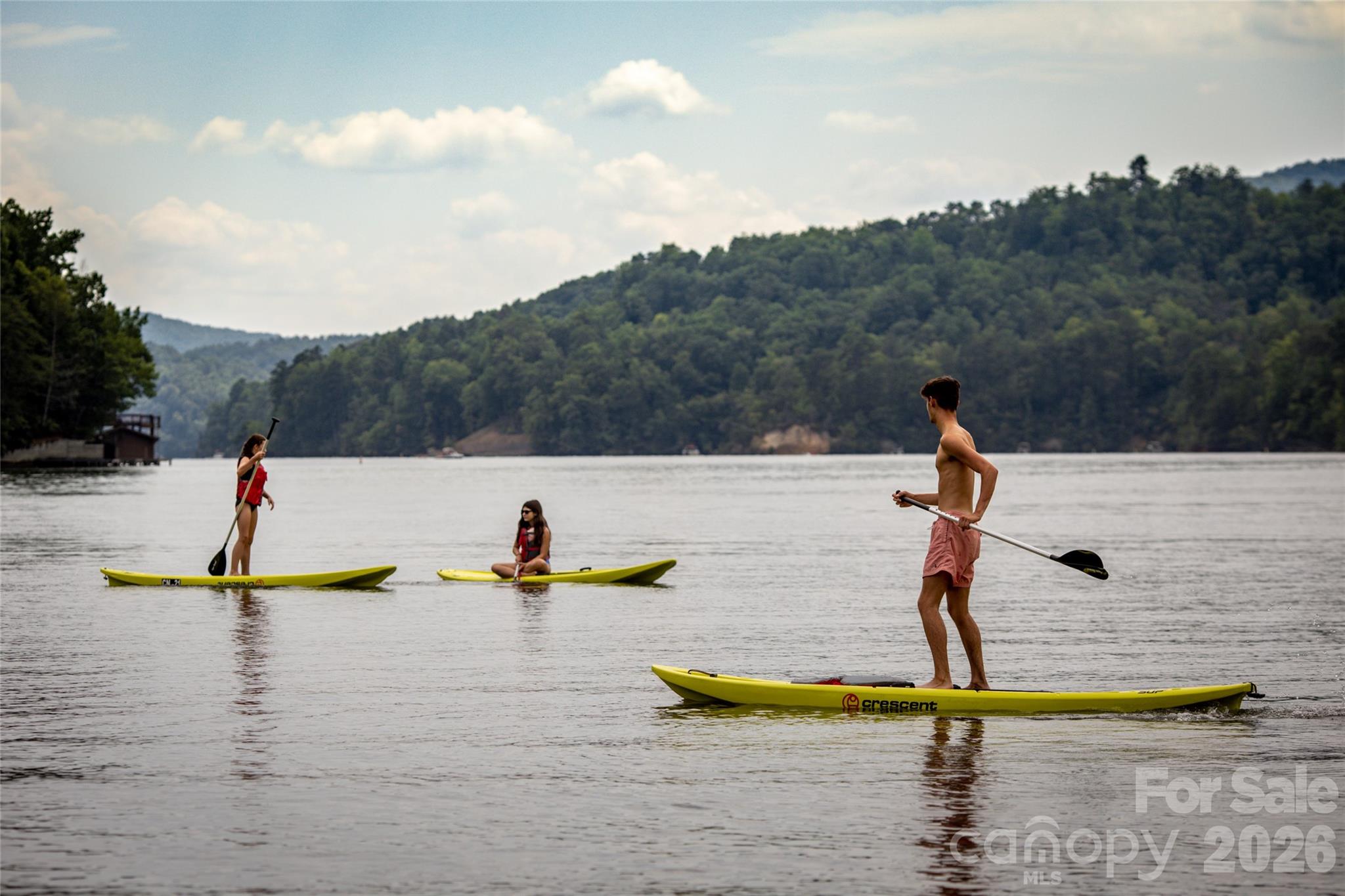 456 Youngs Mountain Drive — Lake Lure