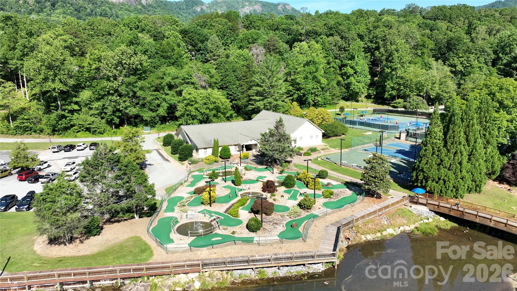 456 Youngs Mountain Drive — Lake Lure