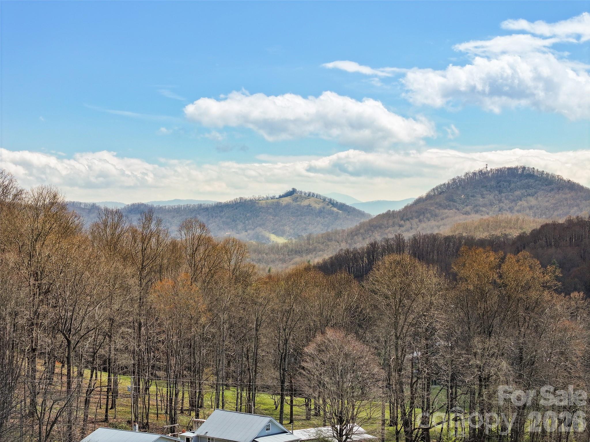 371 Ned Cove Road — Waynesville