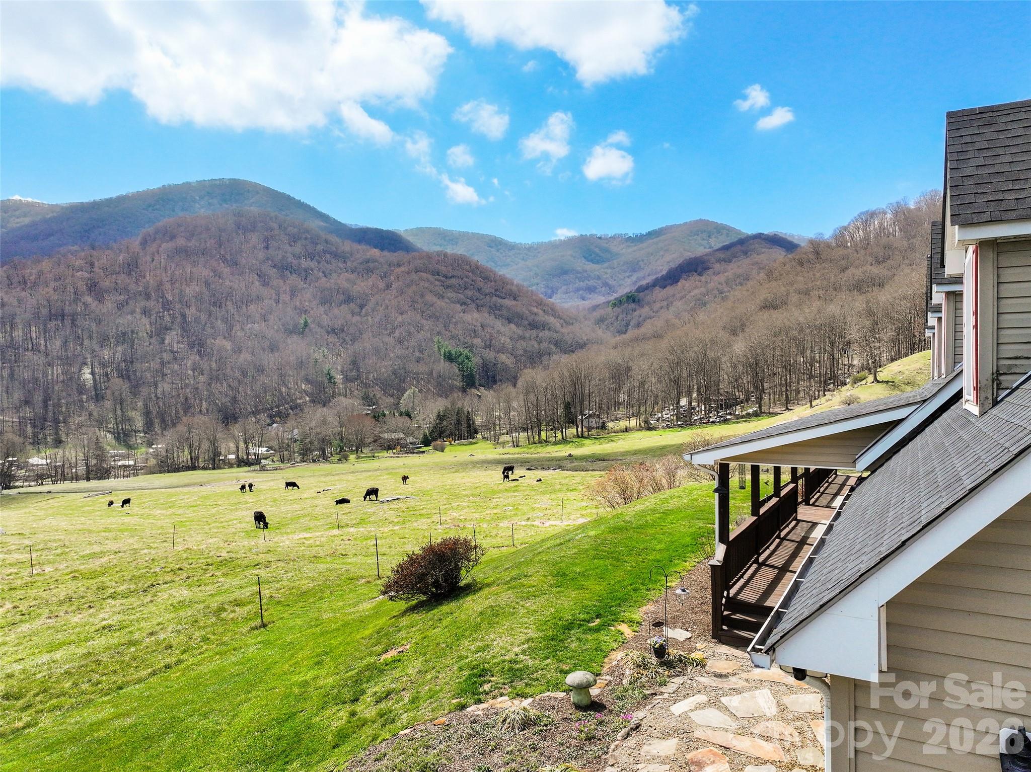 371 Ned Cove Road — Waynesville