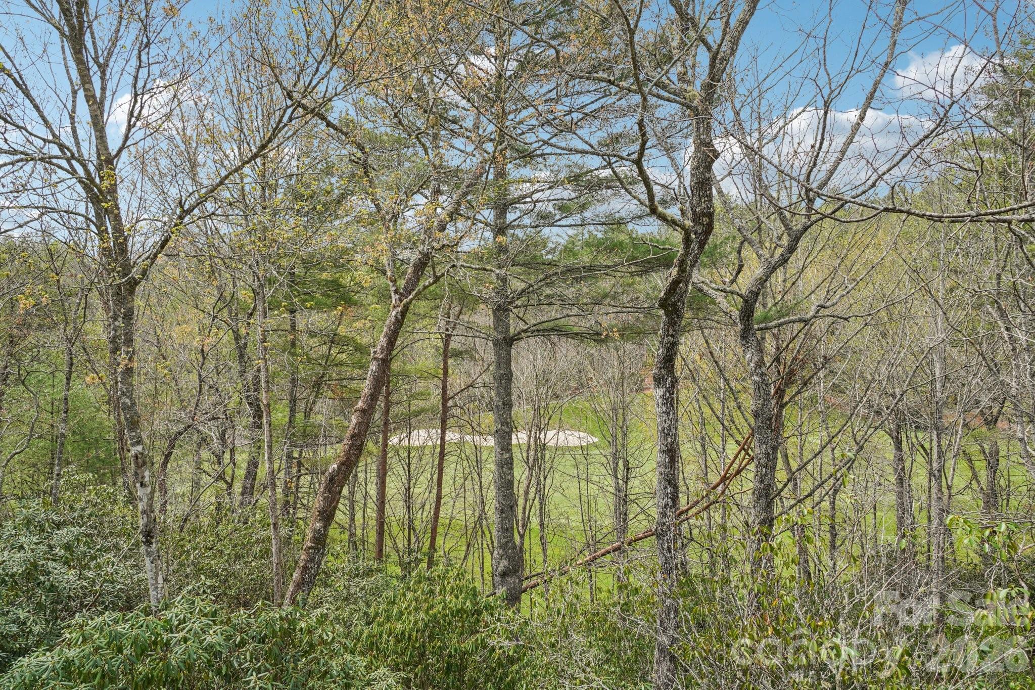 304 Pine Forest Trace — Hendersonville