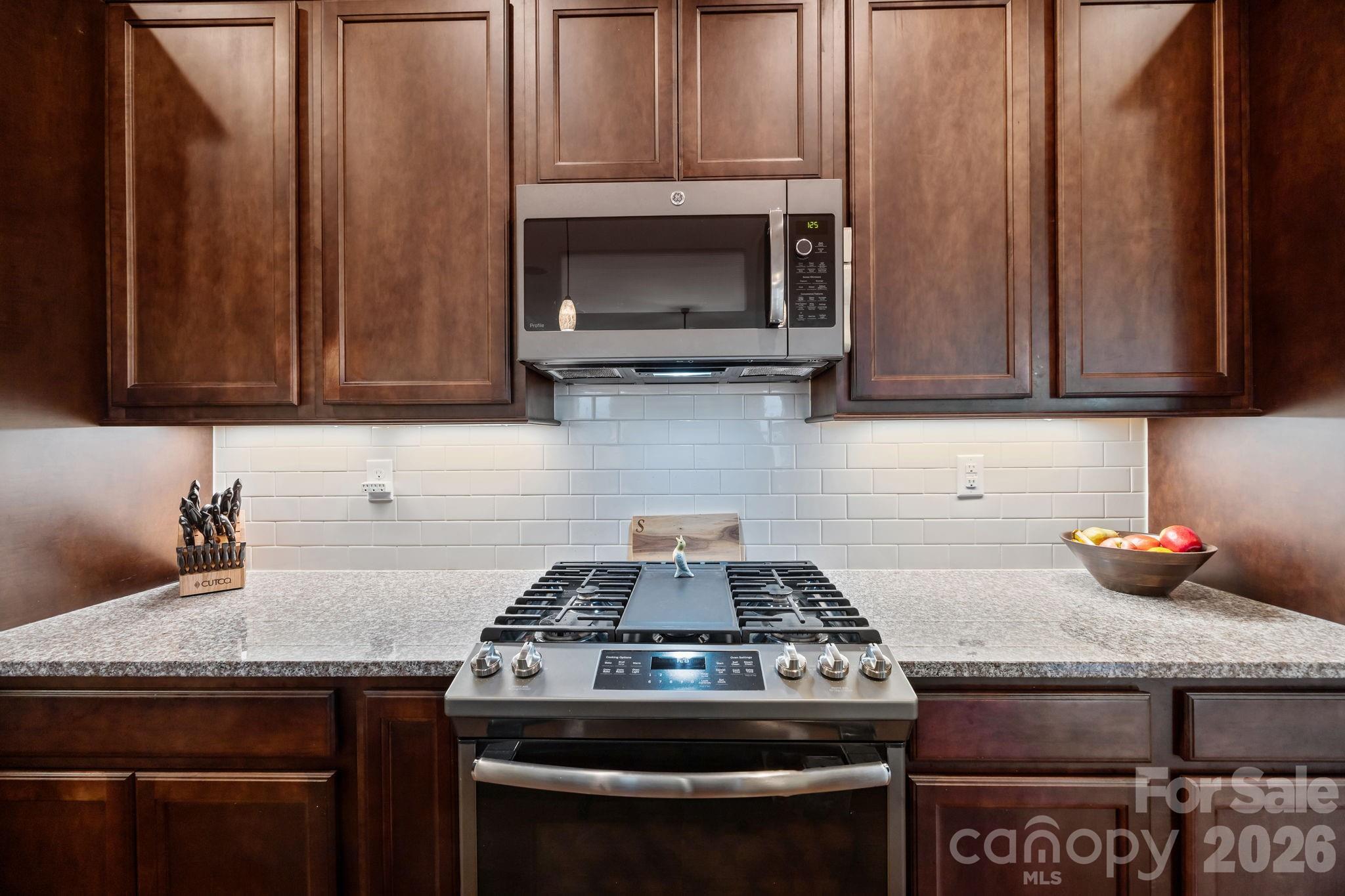 7139 Hanging Rock Court — Denver