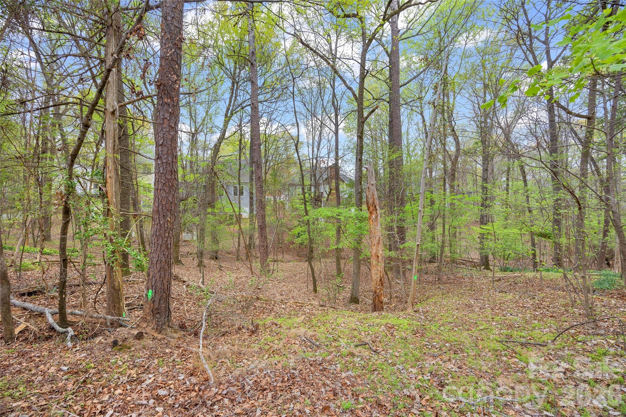 5904 Chalyce Lane — Charlotte
