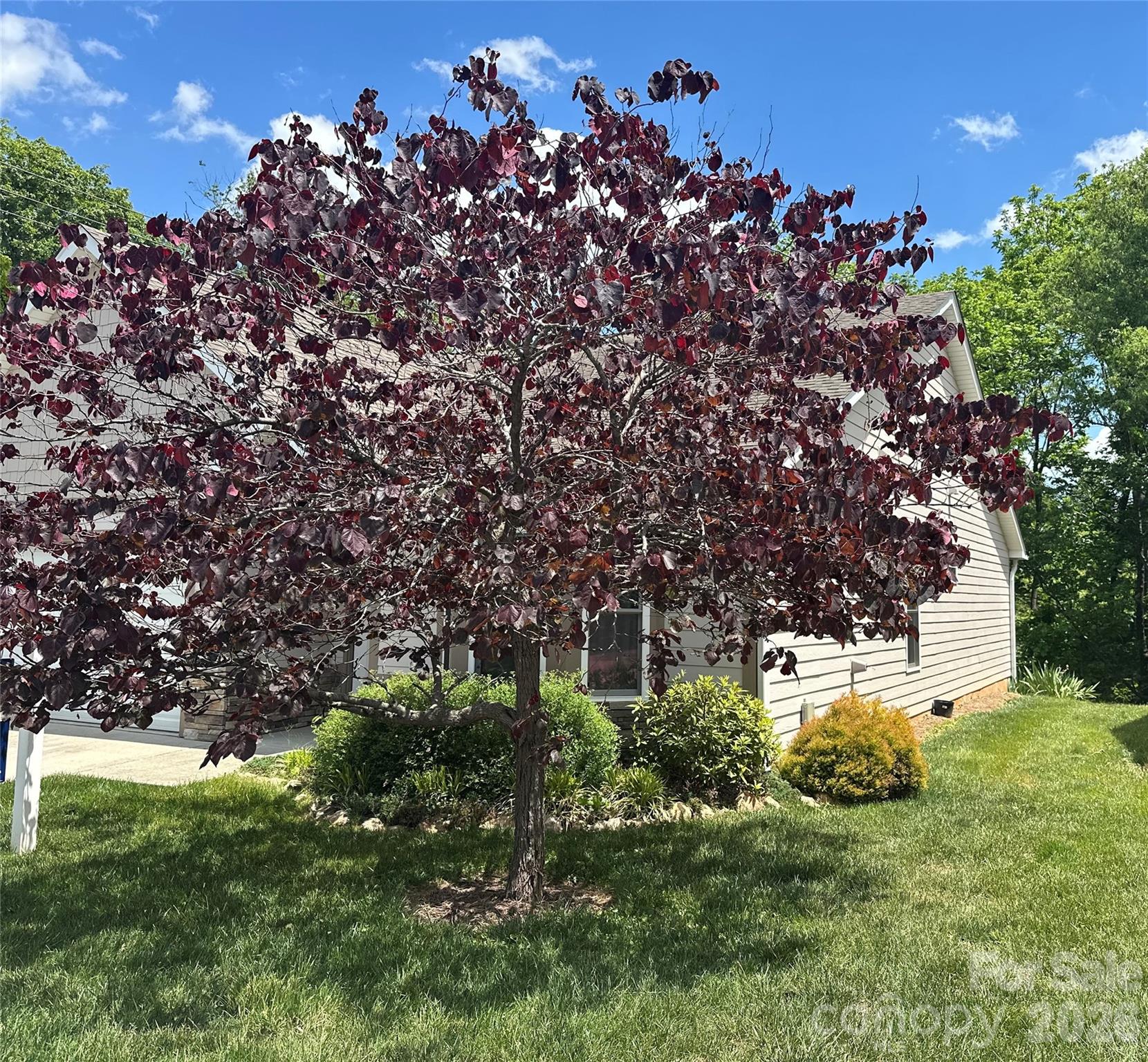 29 Kaylor Drive — Arden