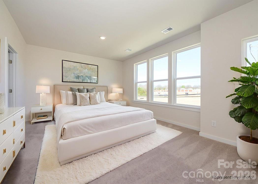 1136 Bismuth Lane — Charlotte