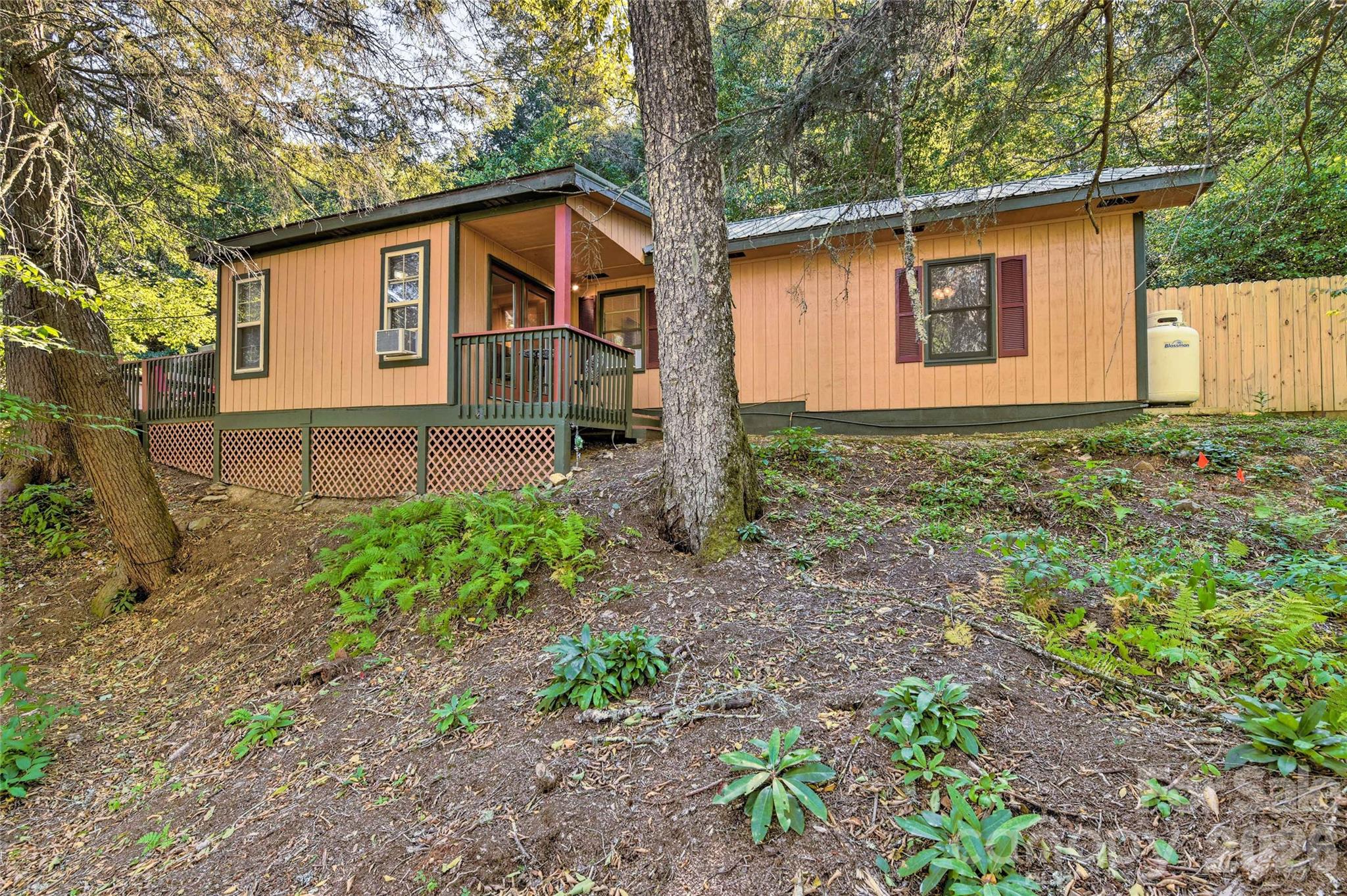 242 Plott Balsam Road — Maggie Valley