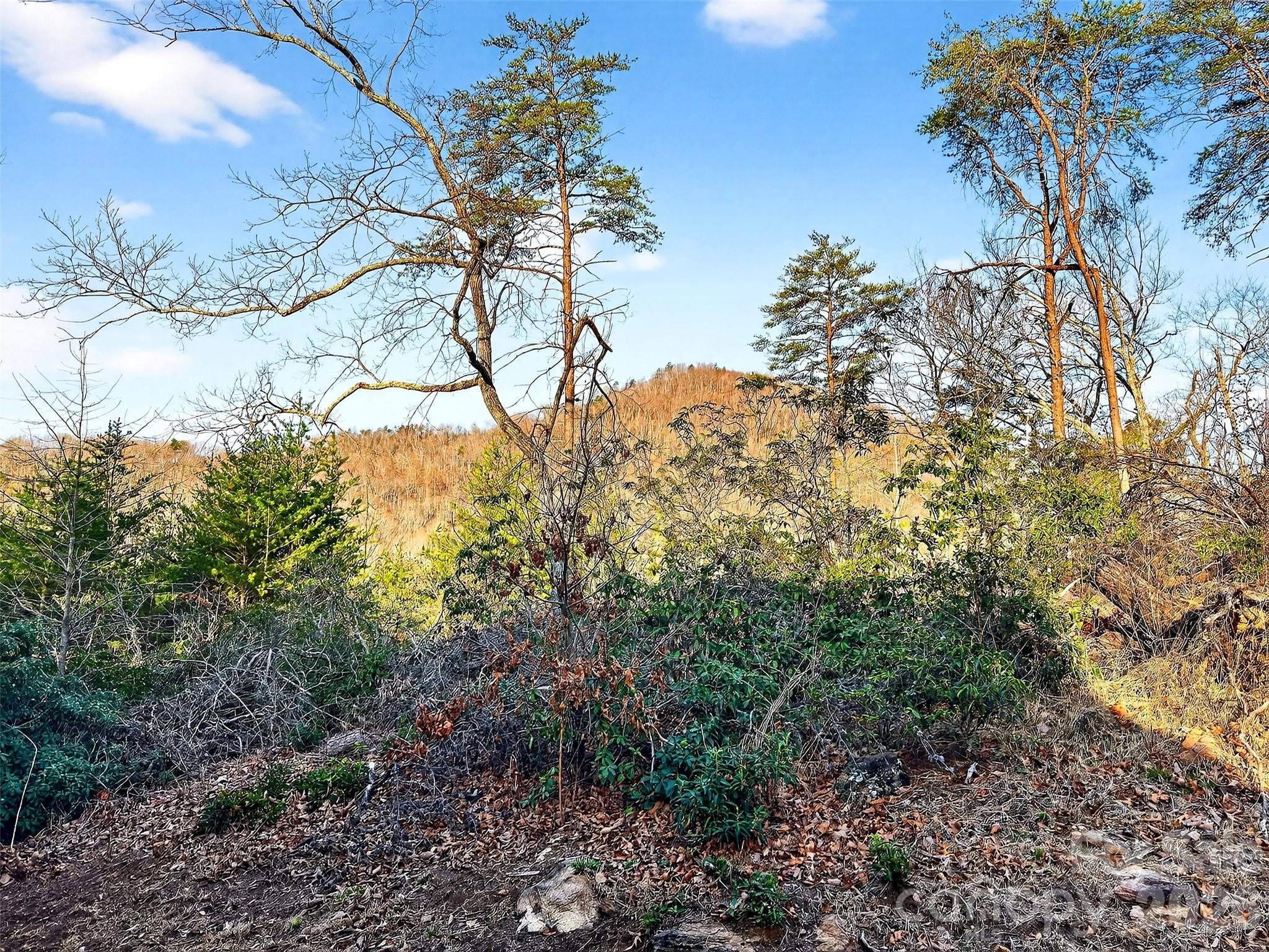 345 Lower Switchback Road — Union Mills