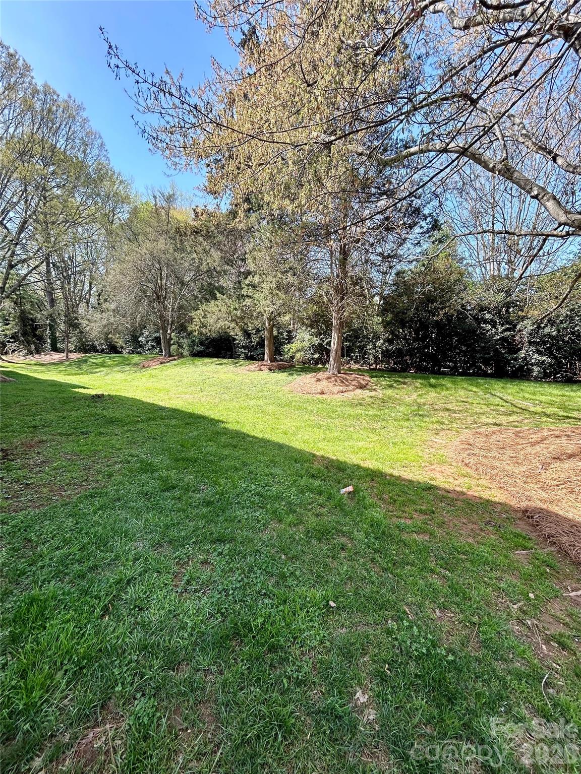 9521 Shannon Green Drive #C — Charlotte