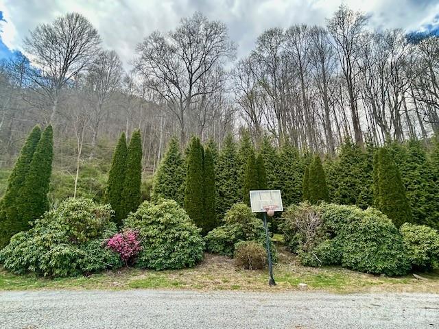 330 Potts Drive — Waynesville