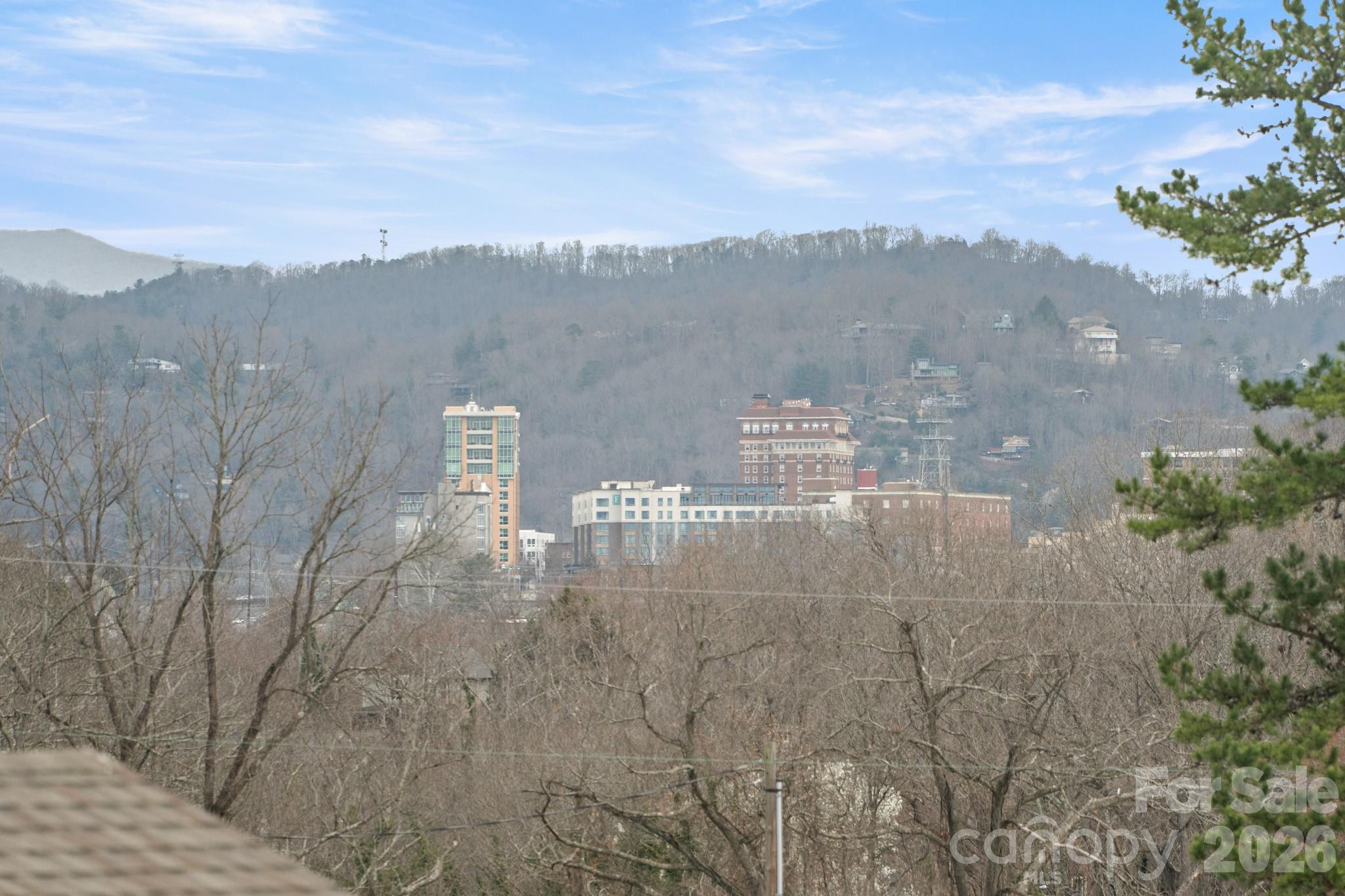 21 Boyd Avenue — Asheville