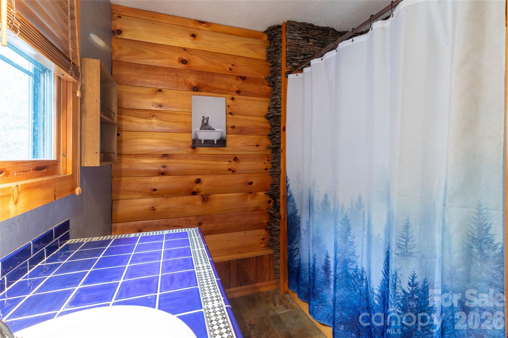 275 Conard Circle — Bryson City