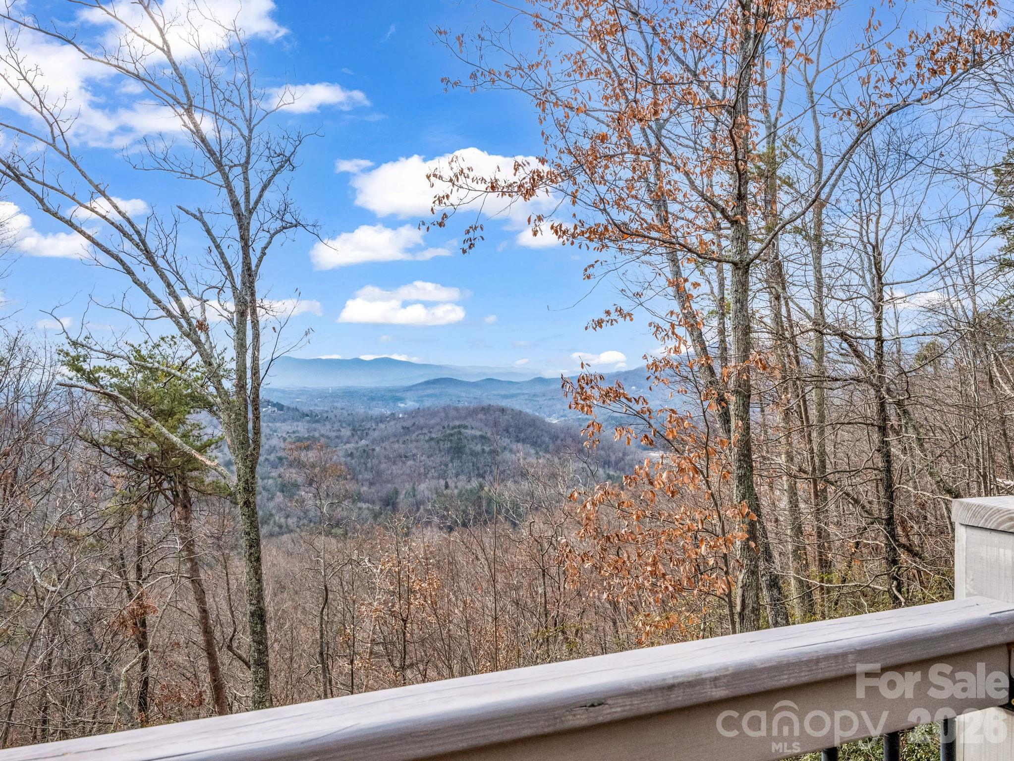 110 Chetan Way — Lake Lure