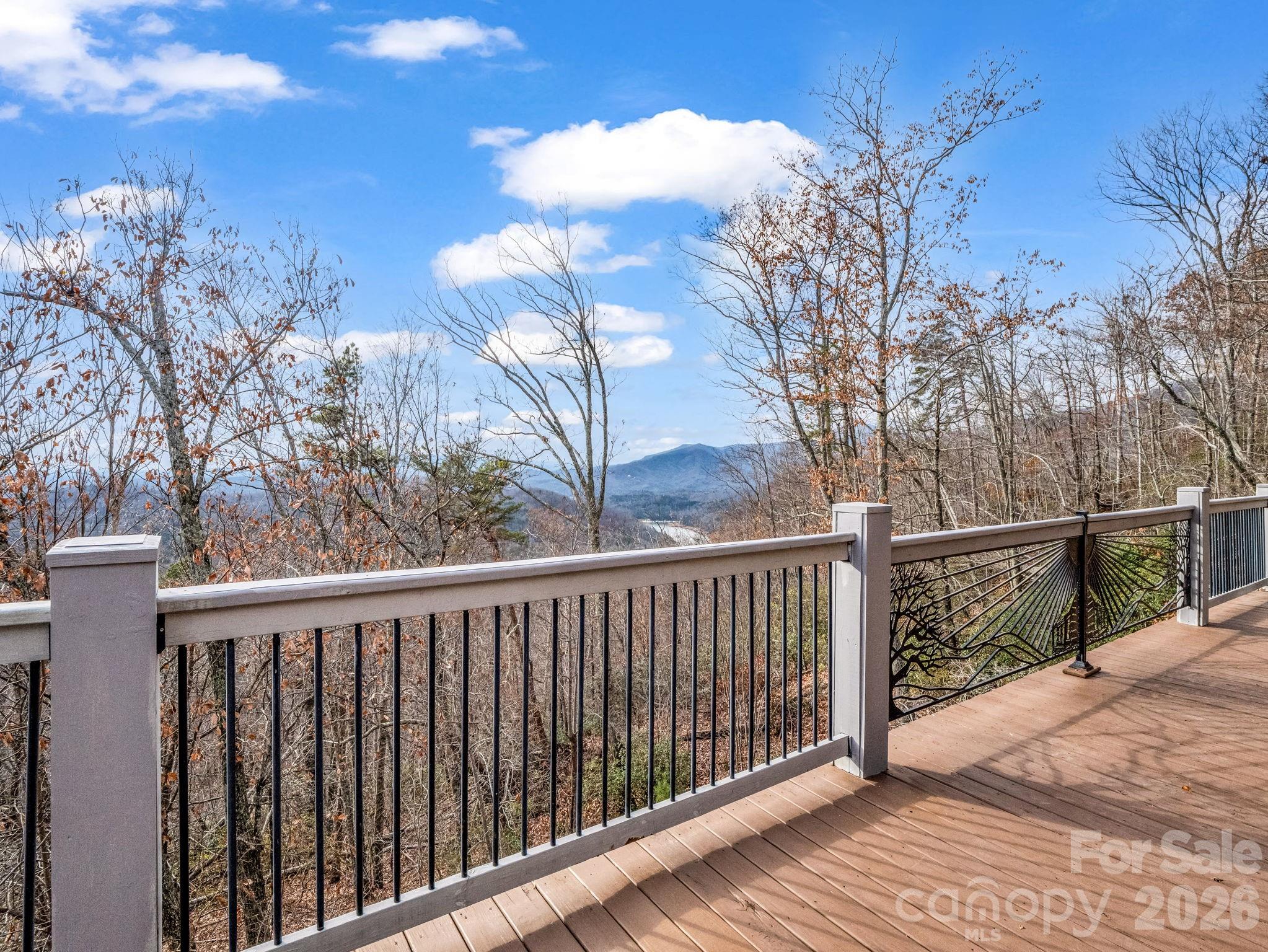 110 Chetan Way — Lake Lure
