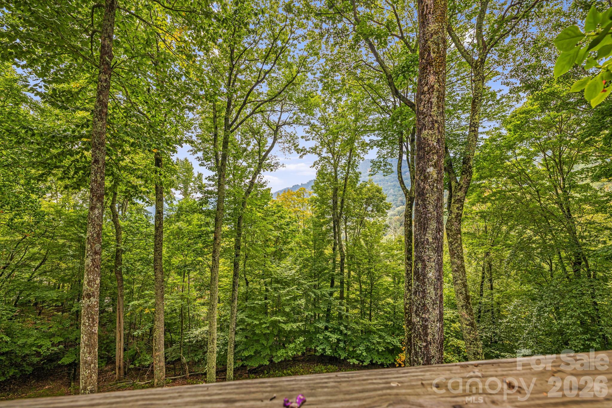 215 Goldenleaf Road — Mars Hill