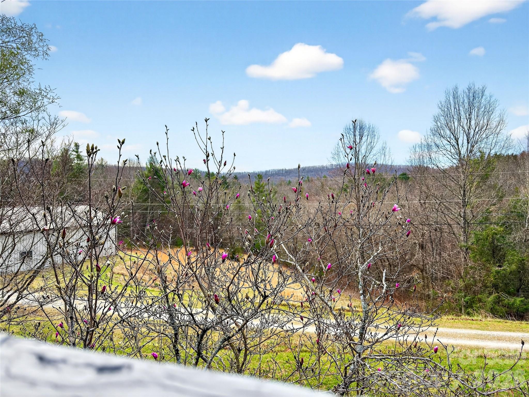 3275 Hanging Rock Road — Spruce Pine