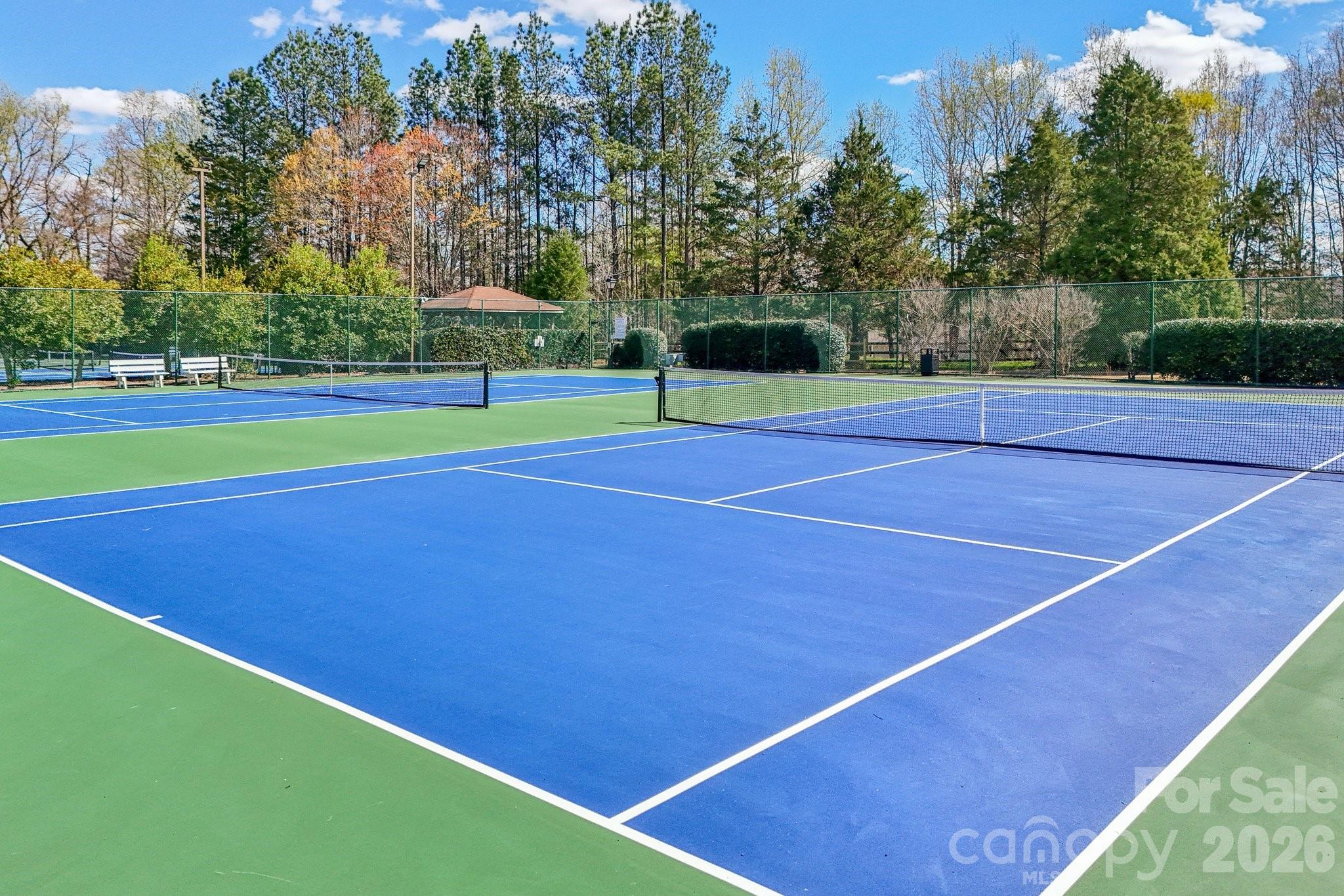 209 Township Drive — Fort Mill