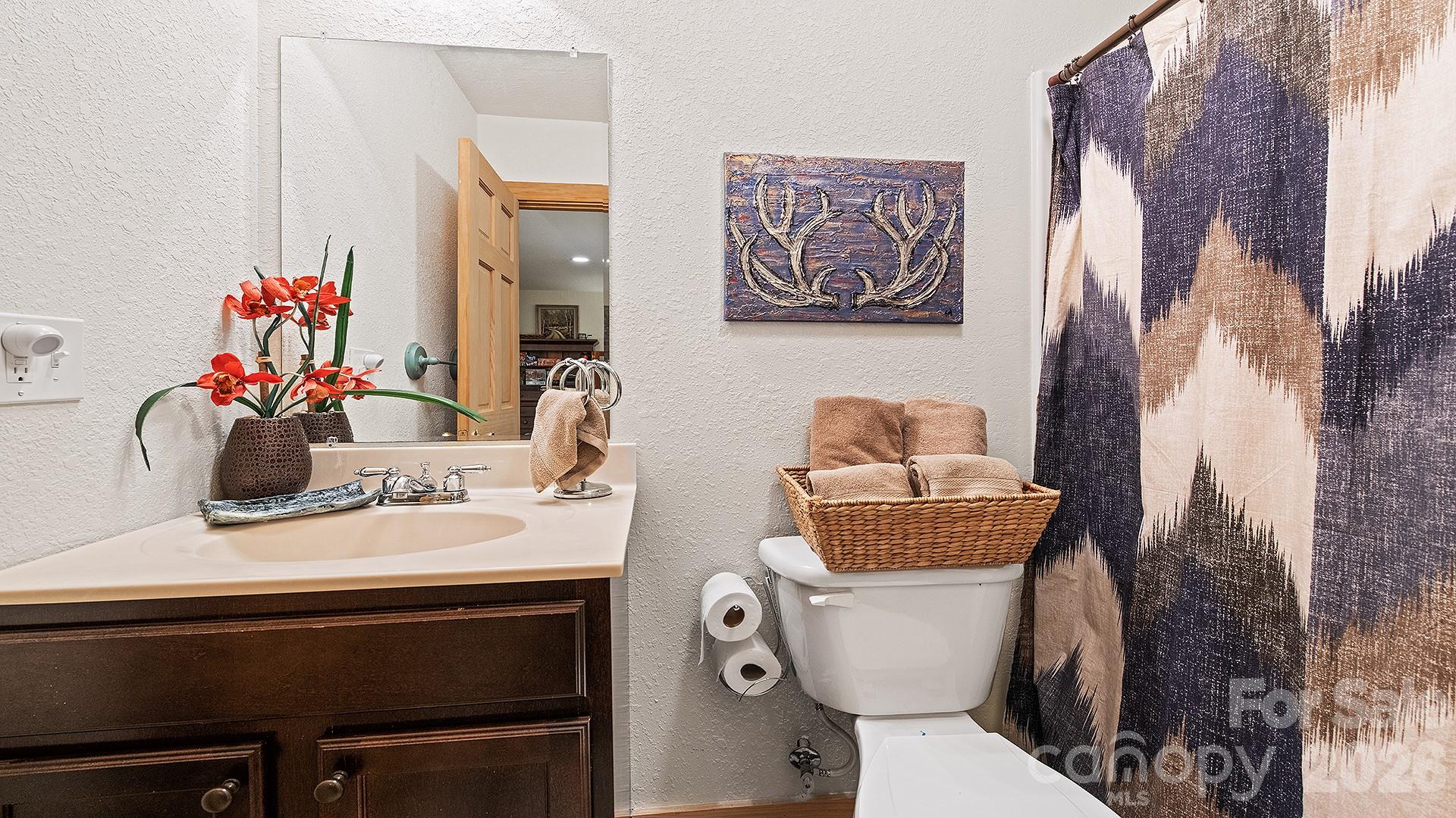 616 Appaloosa Trail — Waynesville