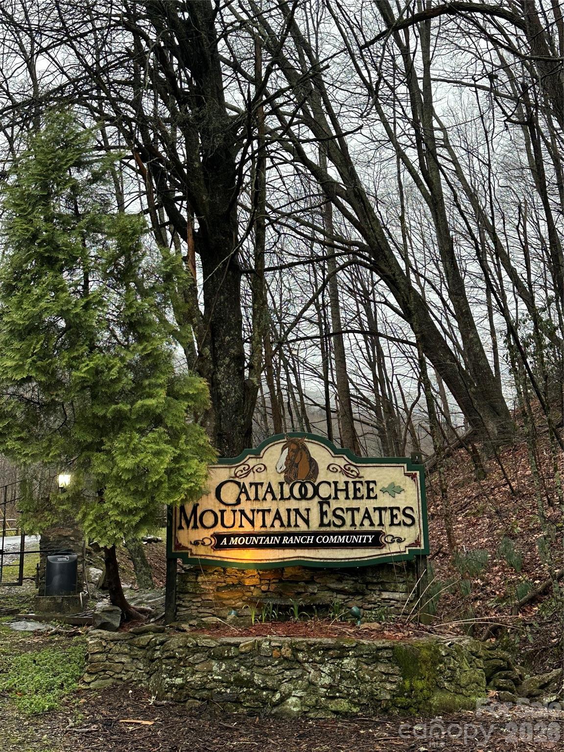 616 Appaloosa Trail — Waynesville