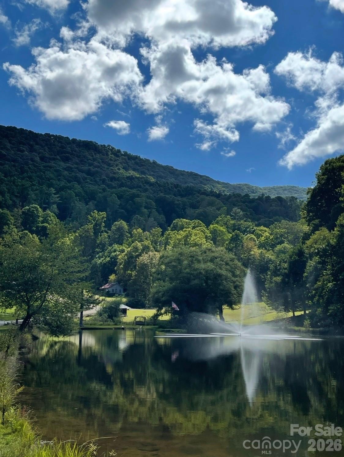 616 Appaloosa Trail — Waynesville