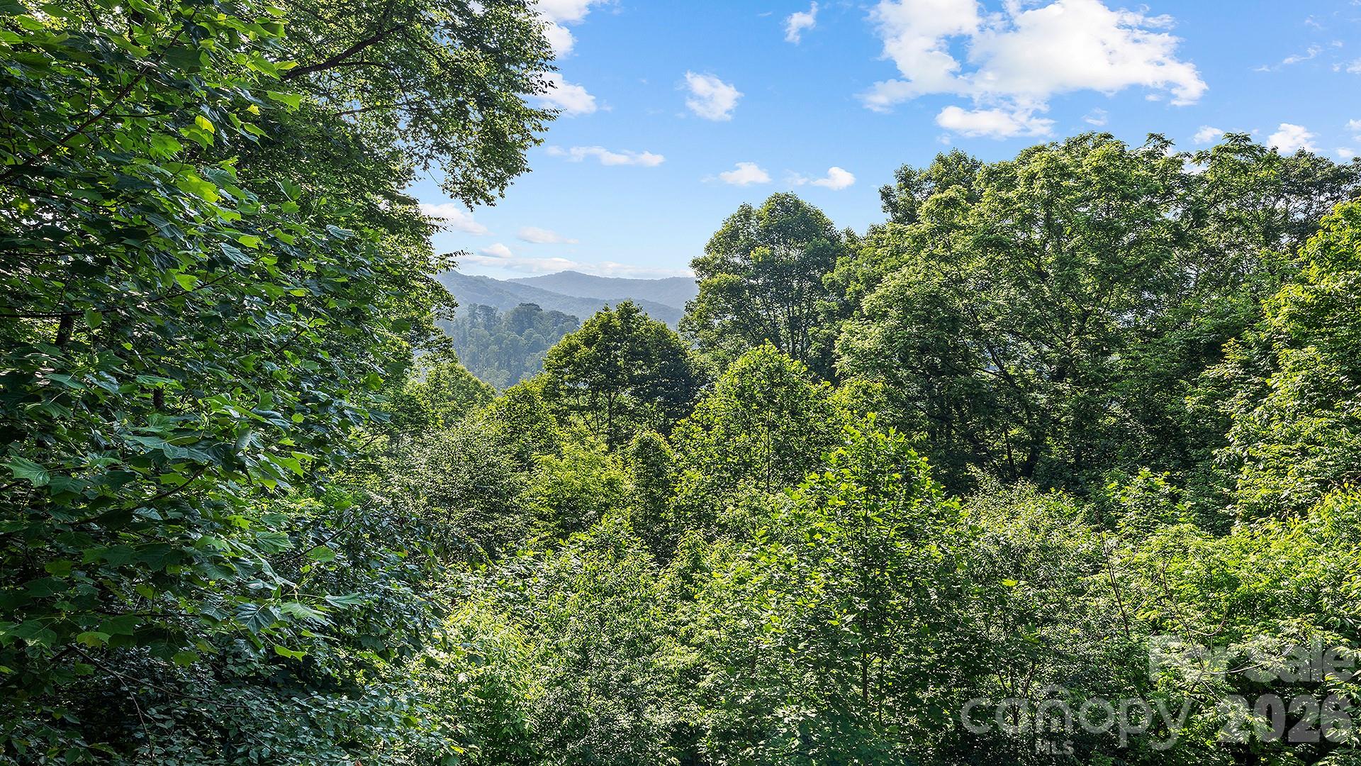 616 Appaloosa Trail — Waynesville