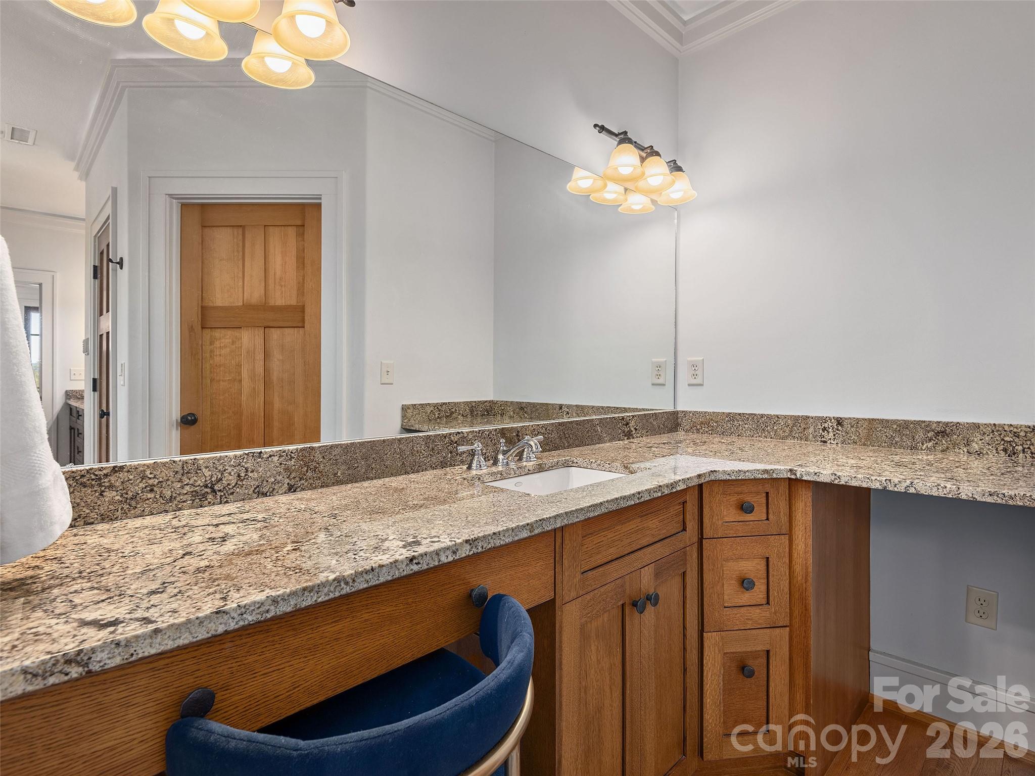 457 Coopers Hawk Drive — Asheville