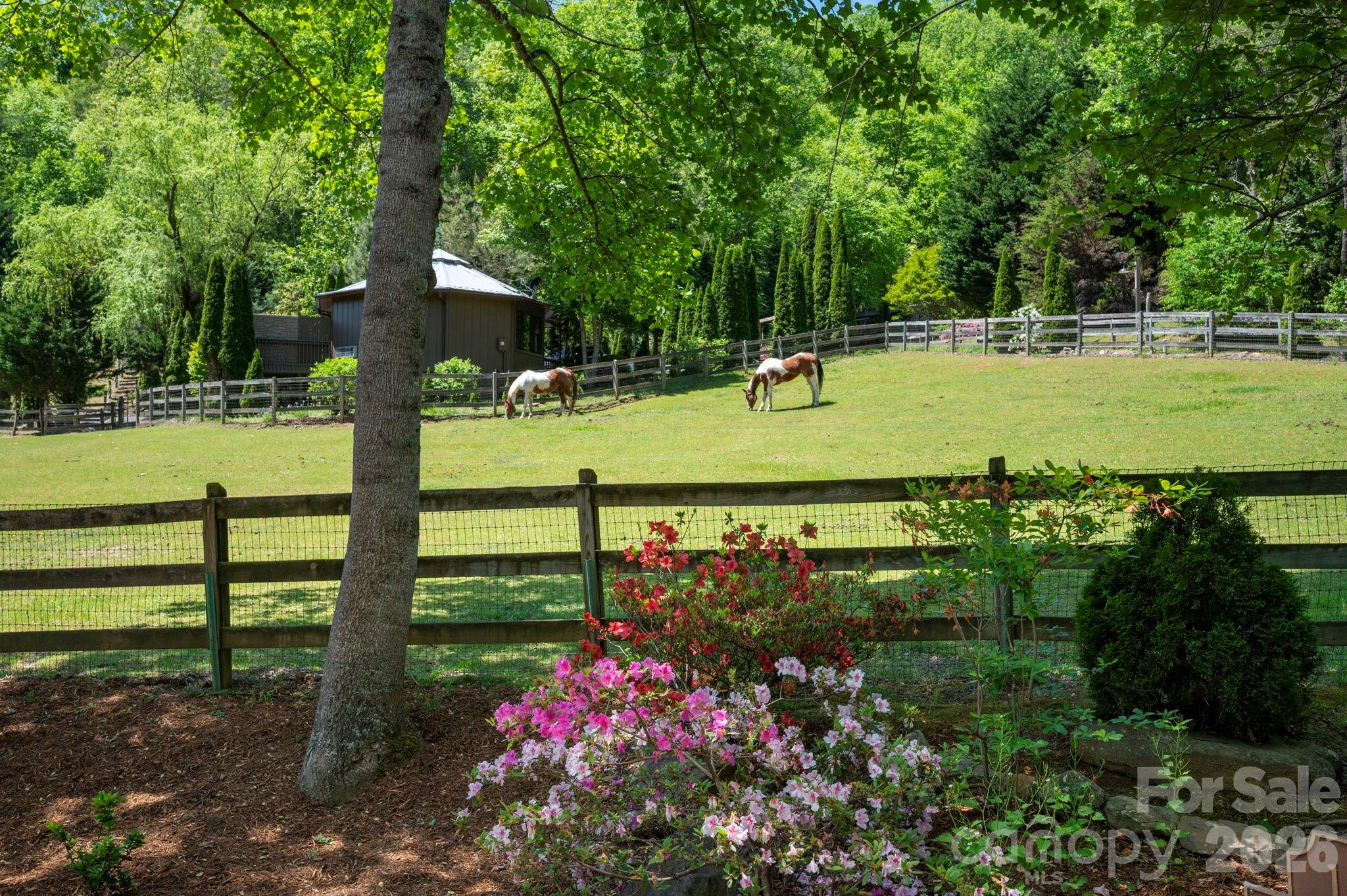 14 Weeping Cherry Forest Road — Fairview