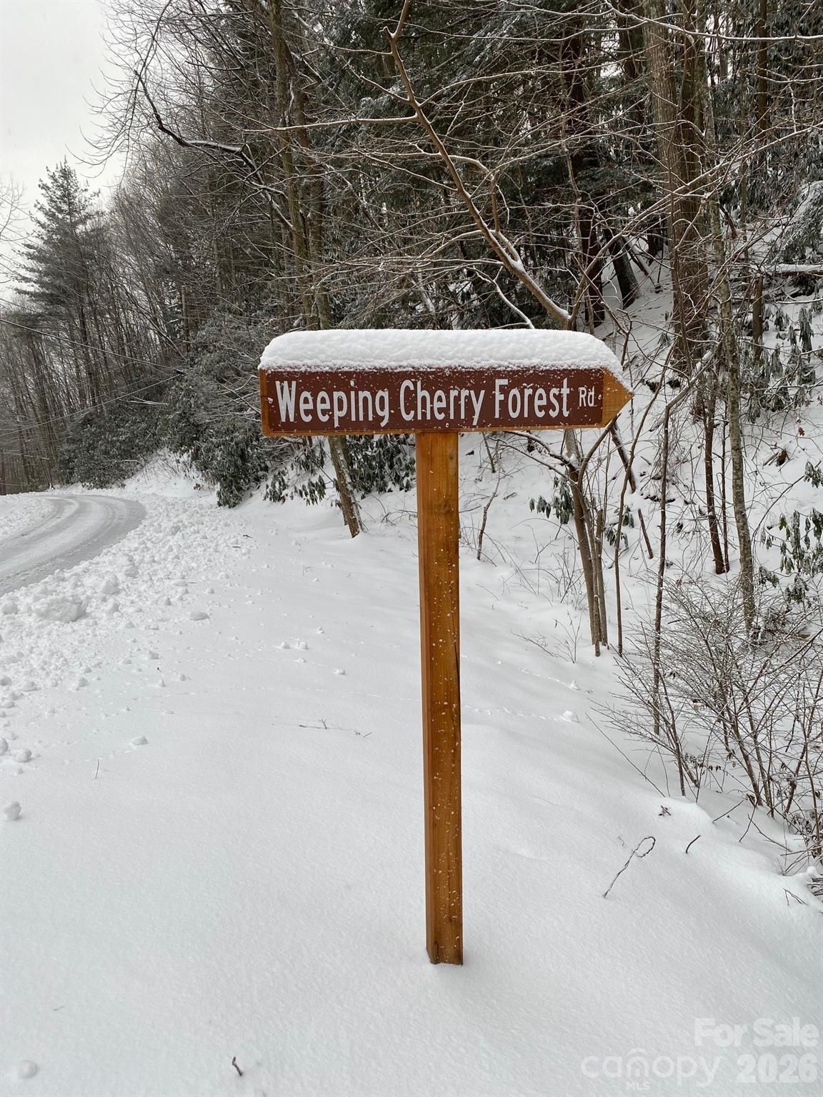 14 Weeping Cherry Forest Road — Fairview