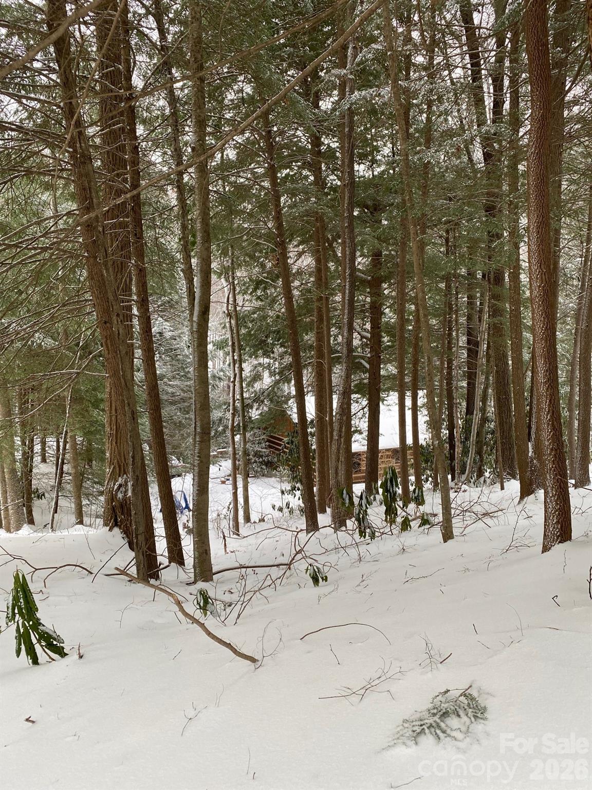 14 Weeping Cherry Forest Road — Fairview