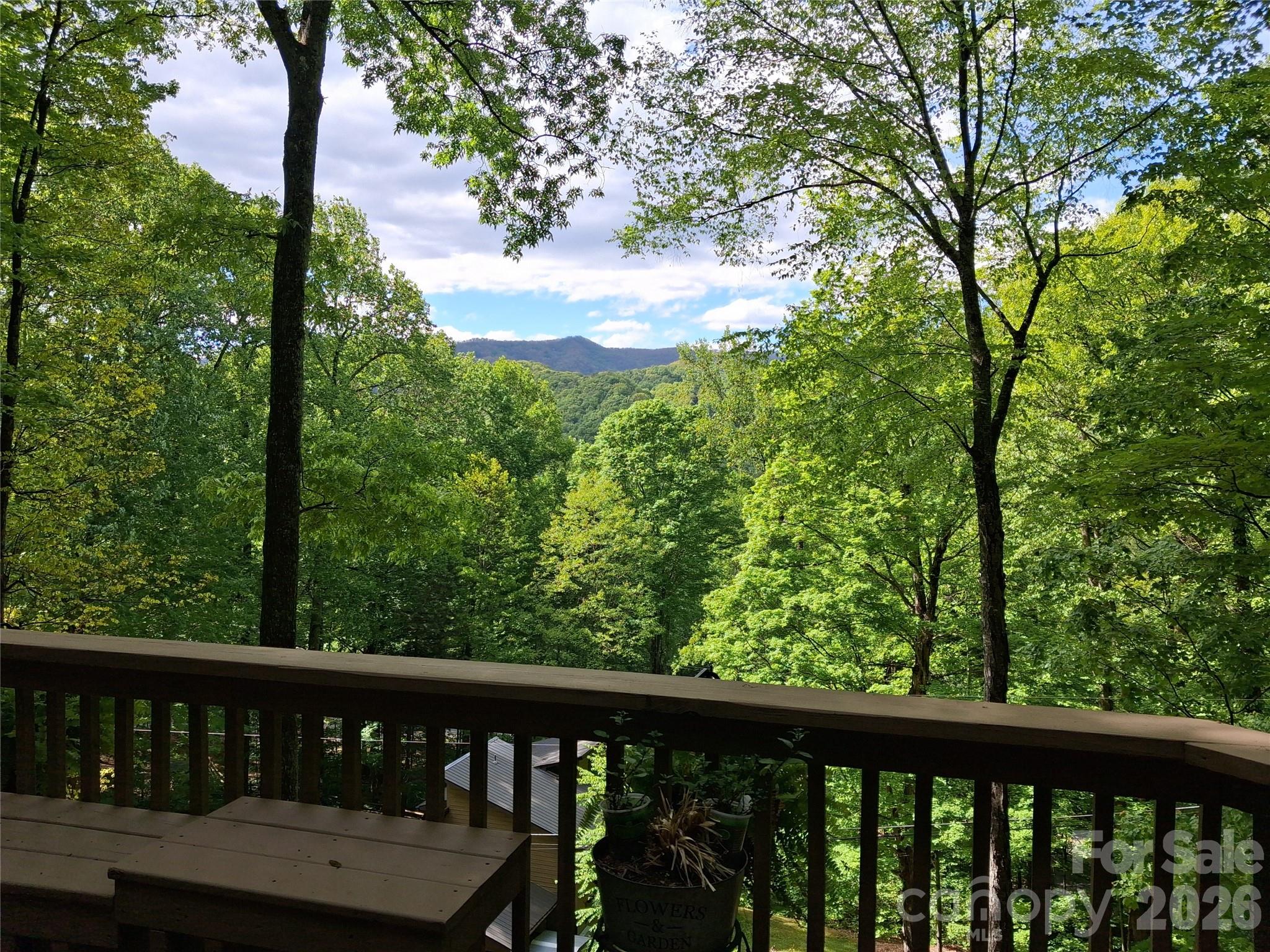 46 Hummingbird Drive — Maggie Valley