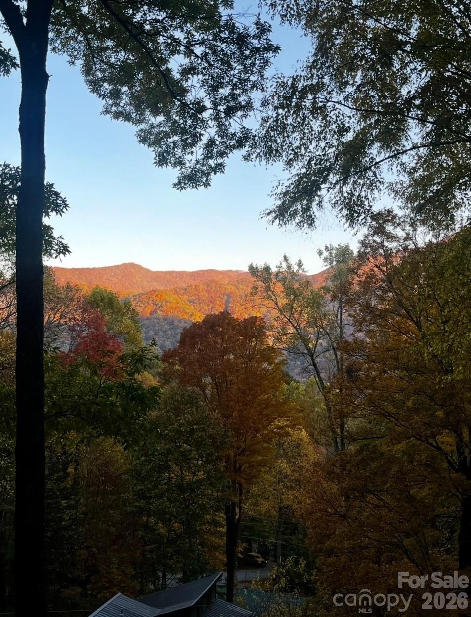 46 Hummingbird Drive — Maggie Valley