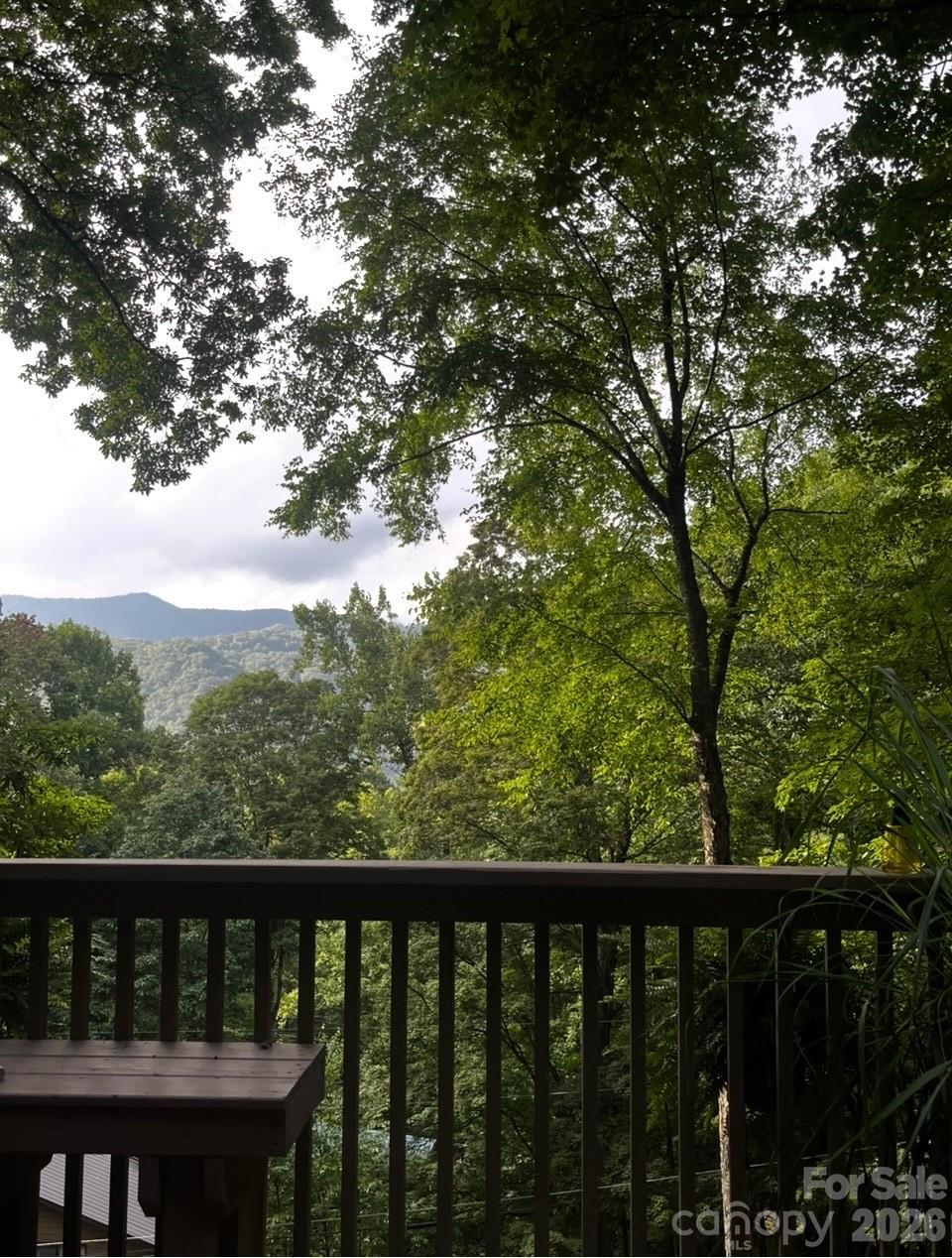 46 Hummingbird Drive — Maggie Valley